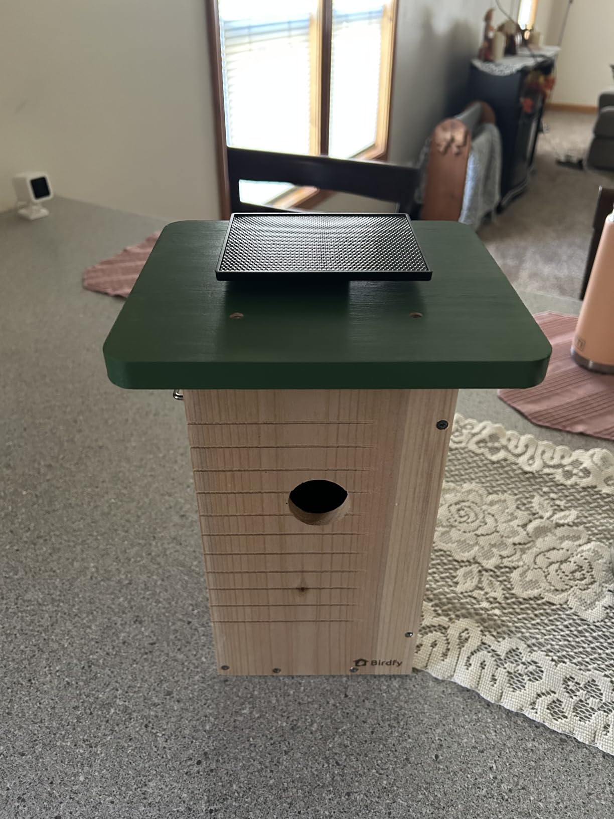 Birdfy Smart Bird House with Camera Solar Powered, 1080HD Live Video & Night Vision for 24/7 Nesting Recording, Auto Detect & Notify, Ideal Nature Gift for Bird Lovers, AI Identify Lifetime Free Customer Review Birdfy Smart Bird House with Camera Solar Powered, 1080HD Live Video & Night Vision for 24/7 Nesting Recording, Auto Detect & Notify, Ideal Nature Gift for Bird Lovers, AI Identify Lifetime Free - Customer Photo 2