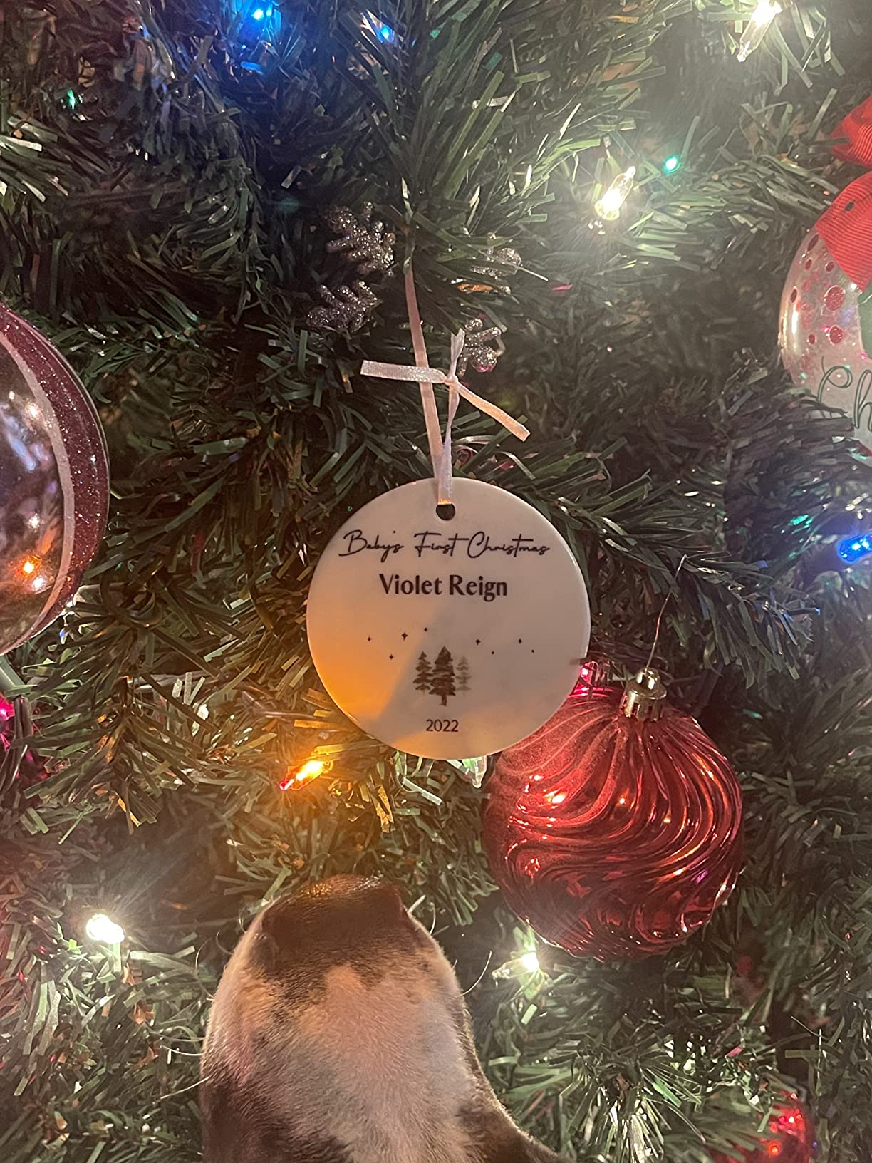 Personalized Baby's First Christmas Ornament 2025 Personalised My First Year Ornaments Picture & Name Gift for New Mom, Dad, Grandson or Granddaughter Keepsake Present (Woodland Christmas) Customer Review Personalized Baby's First Christmas Ornament 2025 Personalised My First Year Ornaments Picture & Name Gift for New Mom, Dad, Grandson or Granddaughter Keepsake Present (Woodland Christmas) - Customer Photo 3