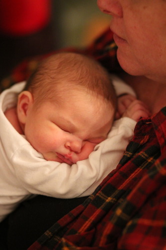 Canon EF 85mm f/1.8 USM Telephoto Lens Customer Review Canon EF 85mm f/1.8 USM Telephoto Lens - Customer Photo 2