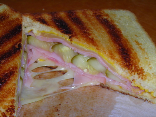 Dualit Classic 4 Slice NewGen Toaster - Stainless Steel - Hand Built in the UK - Customer Photo 1