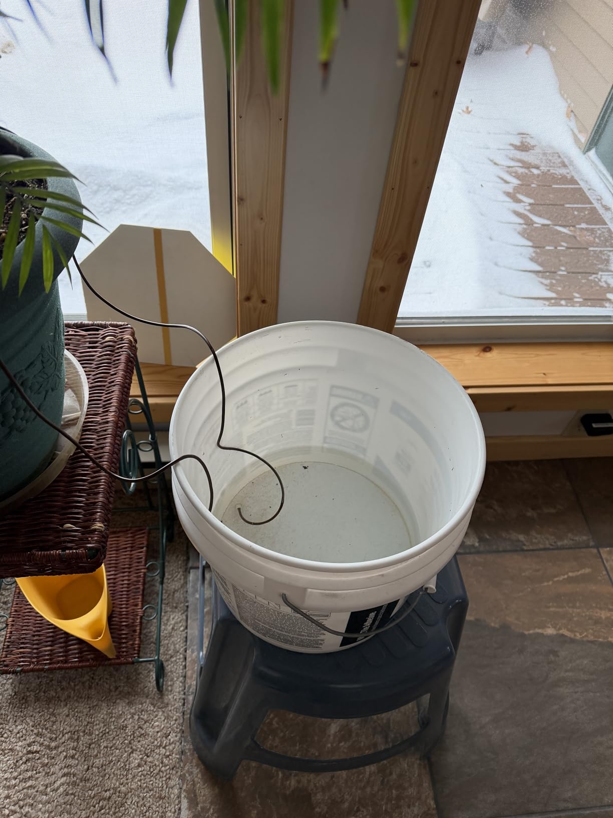 Blumat Classic Self-Watering Stakes - Automatic Drip Irrigation System for Indoor Plant Watering & Outdoor - Water Drip Solution for Potted Plants - Slow Release Stakes, 3 Pack, wo Adapter - Customer Photo 1