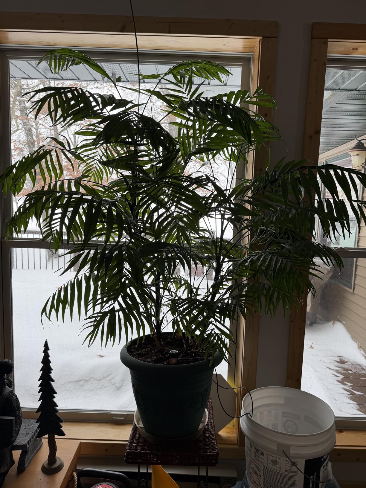 Blumat Classic Self-Watering Stakes - Automatic Drip Irrigation System for Indoor Plant Watering & Outdoor - Water Drip Solution for Potted Plants - Slow Release Stakes, 3 Pack, wo Adapter - Customer Photo 1