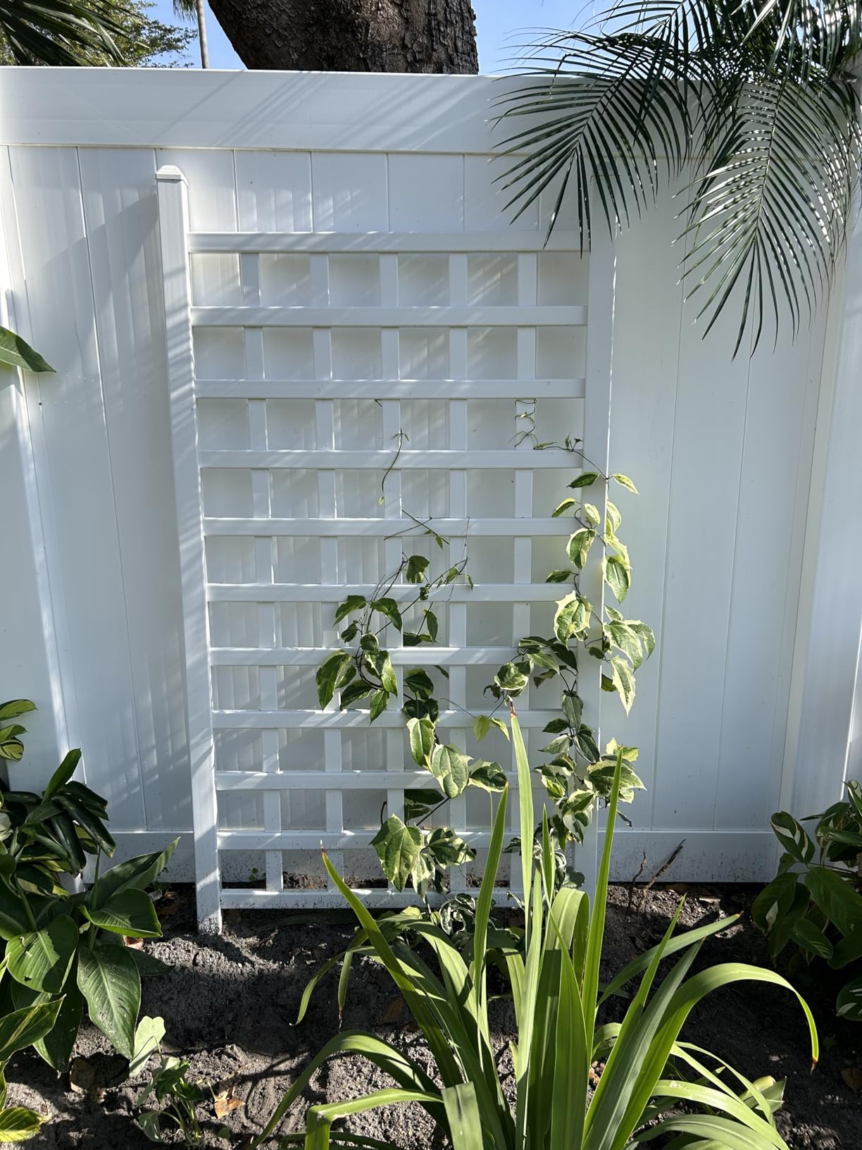 DuraTrel Country Garden Vinyl Trellis, Outdoor Plant Support Frame, White, 35