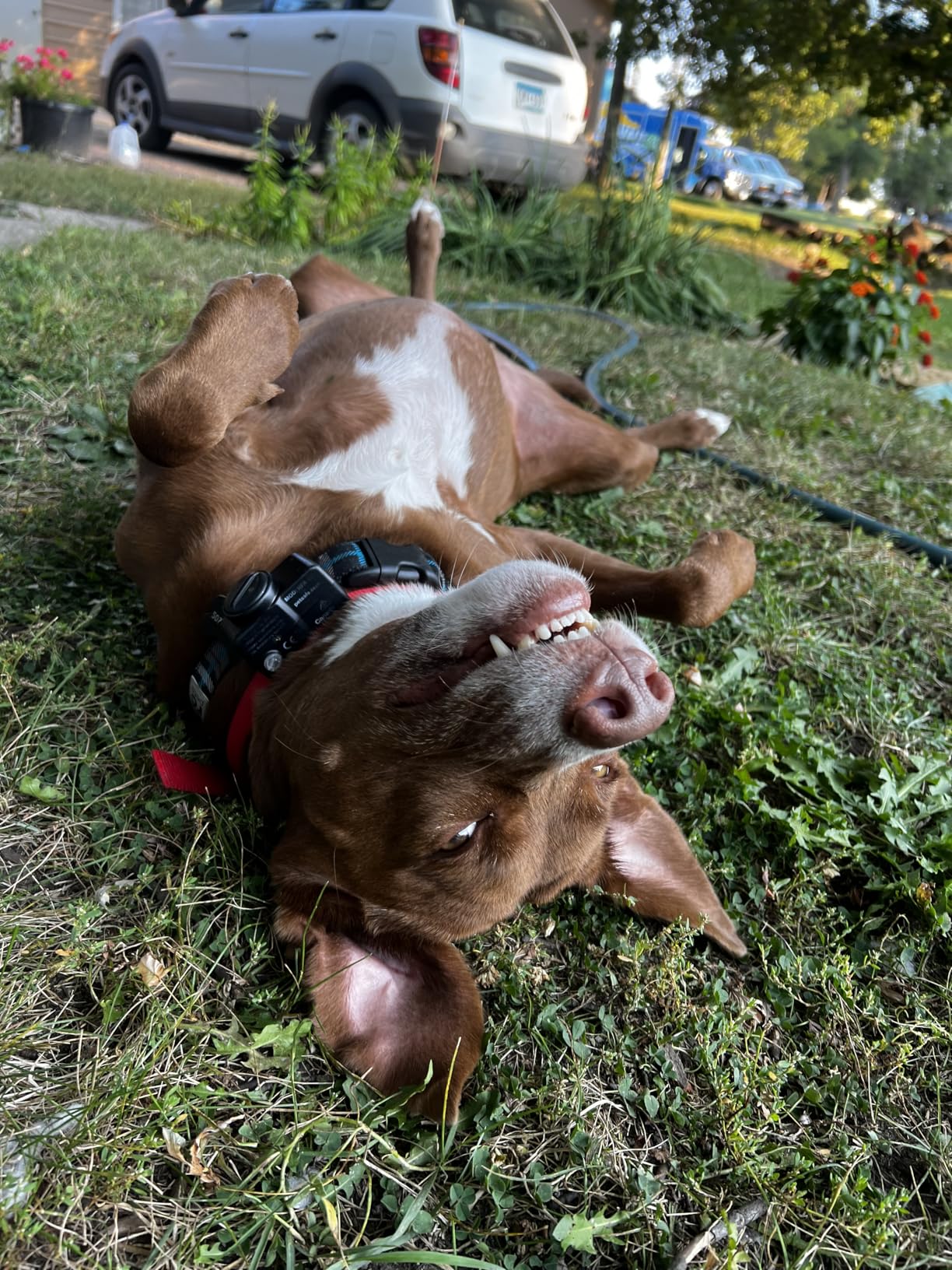 Product Customer Review Product - Customer Photo 1