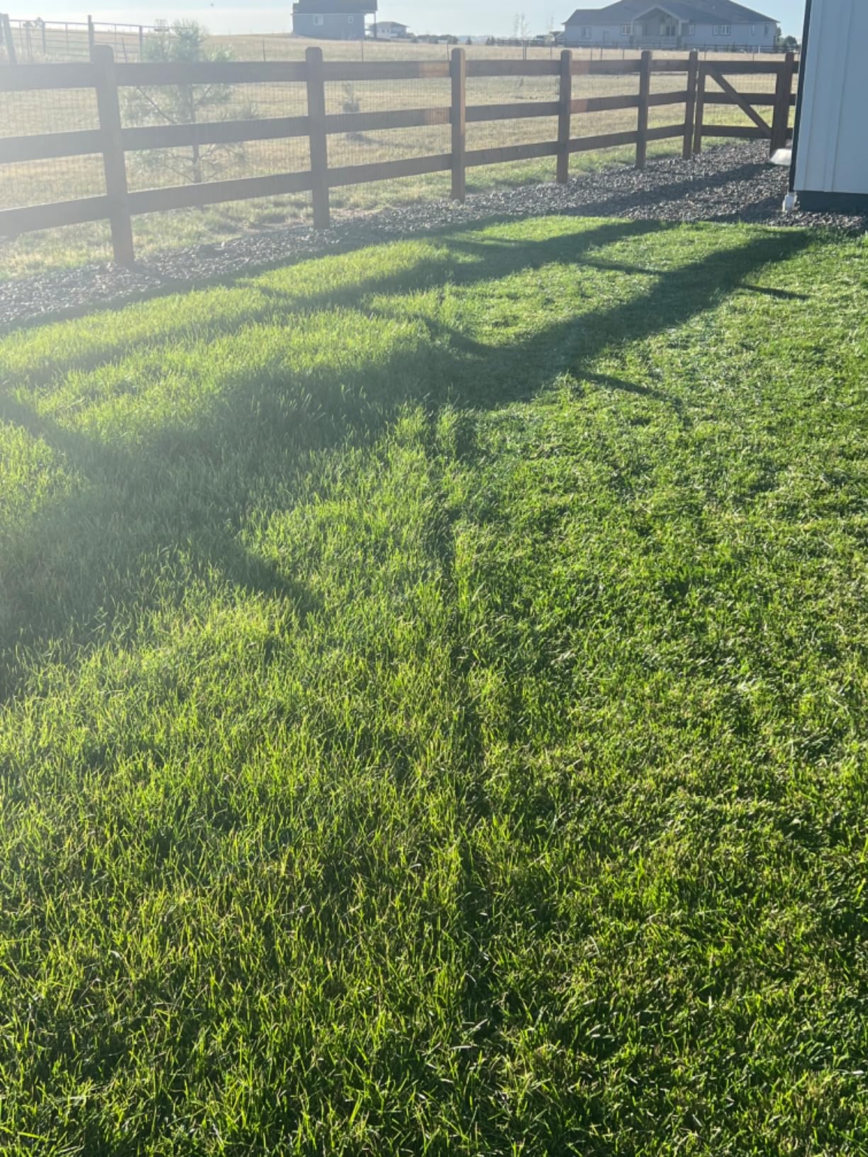 Great States 815-18 18-Inch 5-Blade Push Reel Lawn Mower, 18-Inch, 5-Blade, Grey - Customer Photo 3