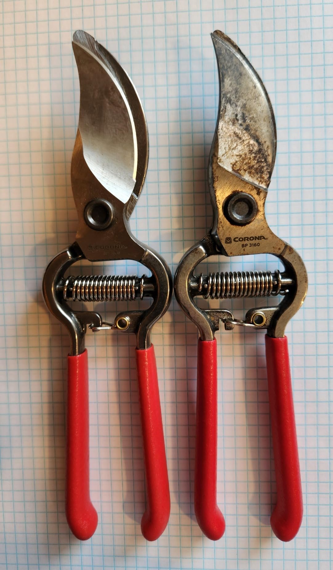 Corona Tools | ClassicCUT Forged Bypass Pruning Shears for Gardening | Cuts Branches and Stems up to 1/2-inch in Diameter | BP 3130 - Customer Photo 2