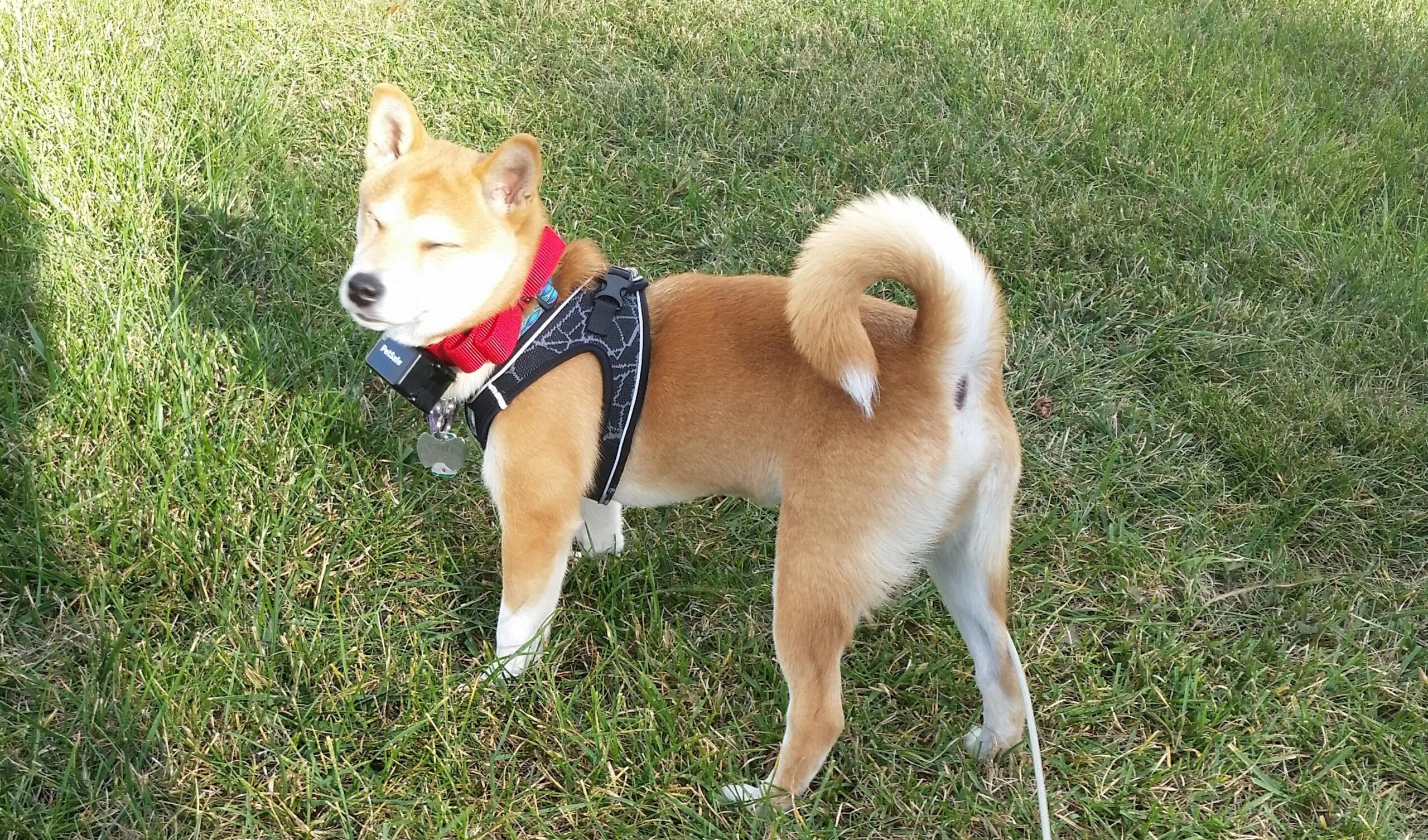 Product Customer Review Product - Customer Photo 2