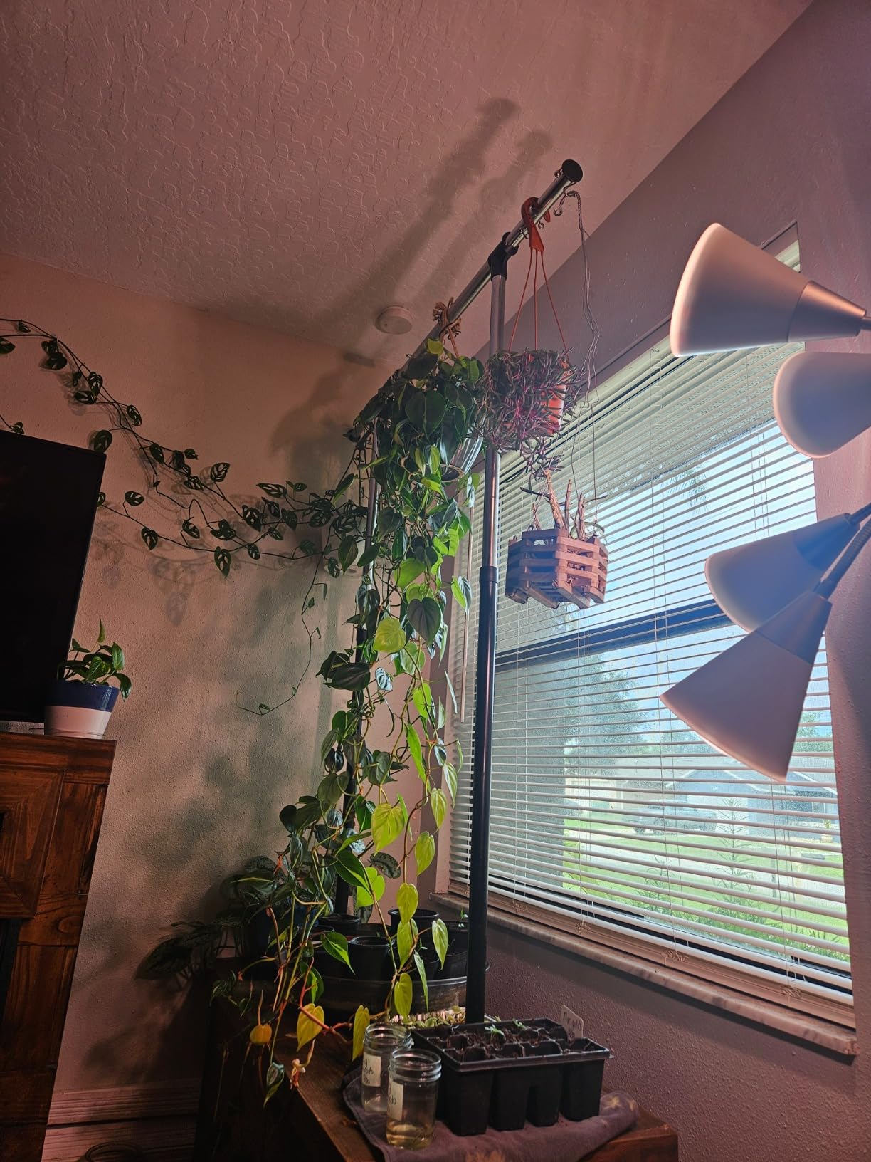 Bonide Captain Jack's Insecticidal Super Soap, 32 oz Ready-to-Use Spray For Organic Gardening and Outdoor Plants - Customer Photo 4