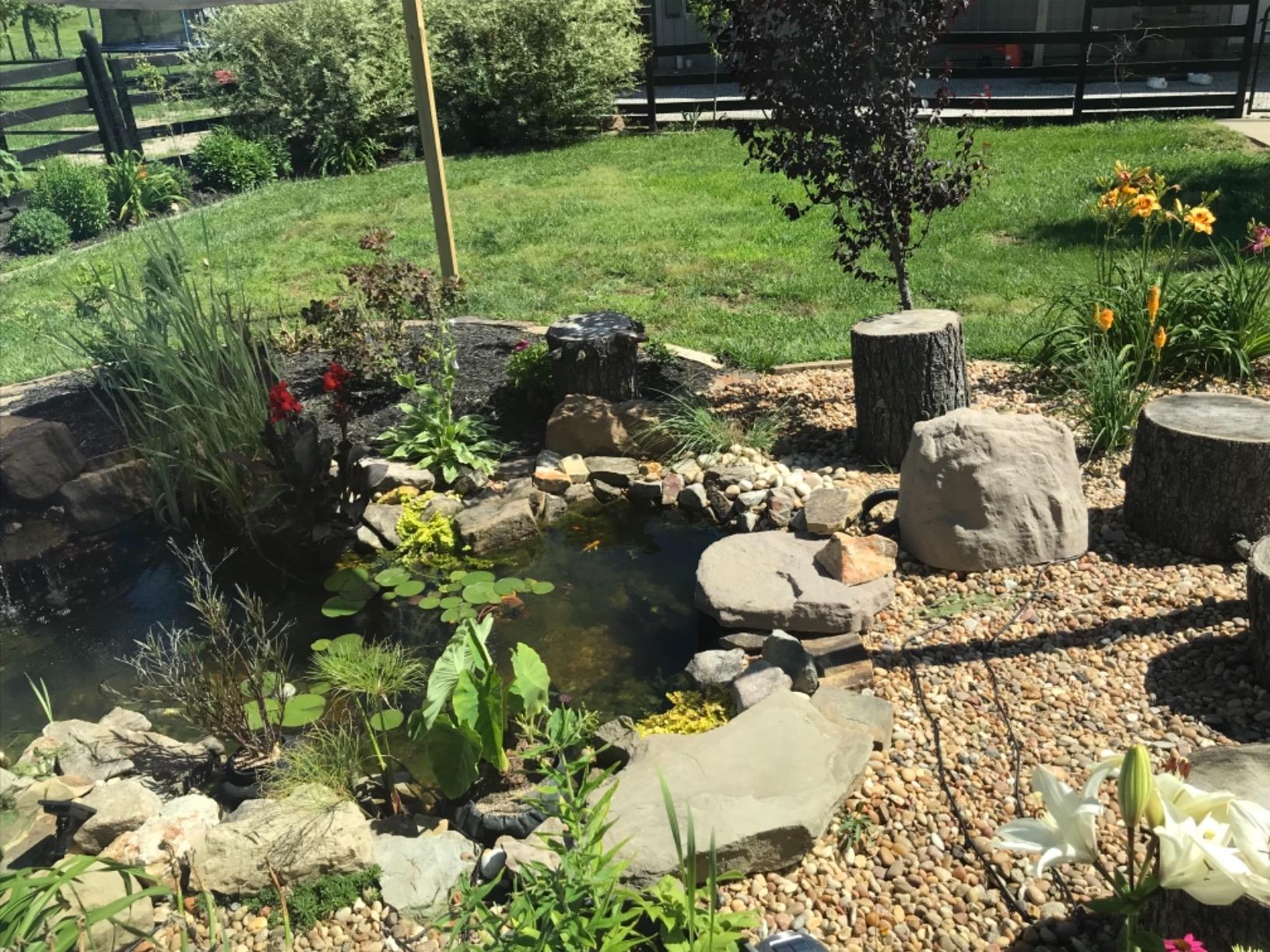 Aquascape DIY Ecosystem Backyard Pond Kit, 8-feet x 11-feet - Customer Photo 1