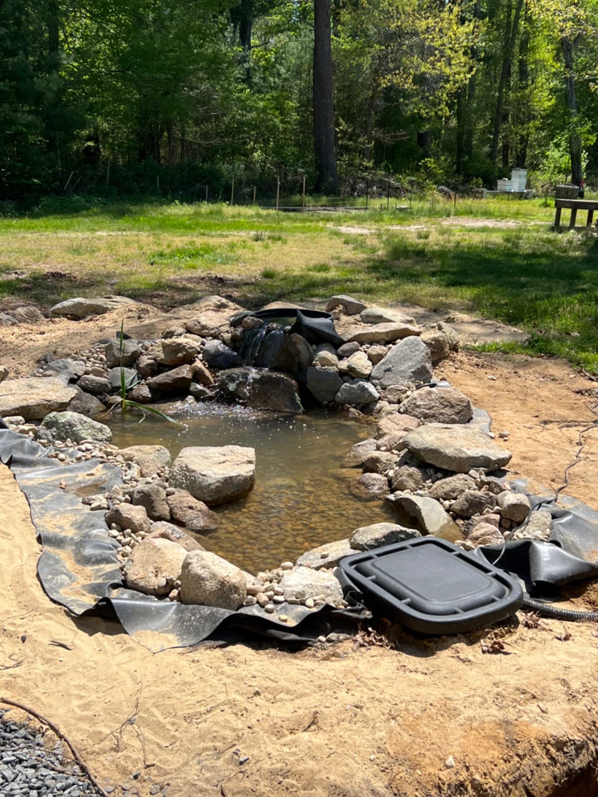 Aquascape DIY Ecosystem Backyard Pond Kit, 8-feet x 11-feet - Customer Photo 2