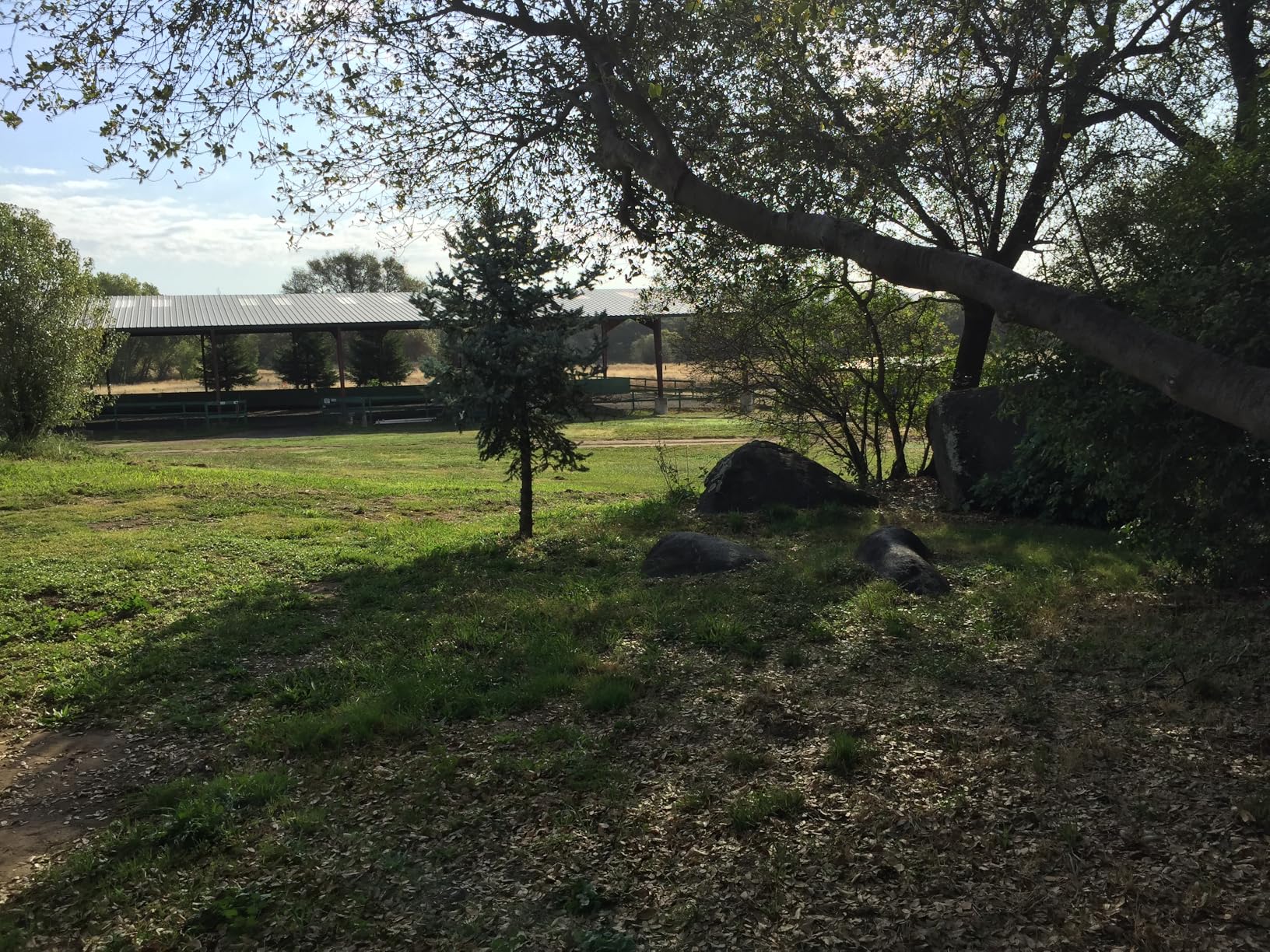 Rubbermaid Commercial Products 8.75 Cubic Foot, All-Weather, Big-Wheel Cart/Yard Cart/Lawn Cart/Wheelbarrow - Customer Photo 1