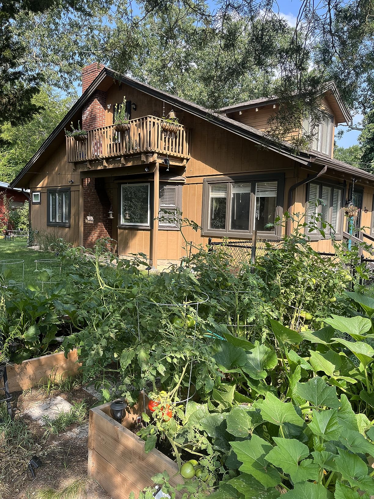 Enviro Pro 1006 Deer Scram Repellent Granular White Pail, 5.75 Pounds, (Packaging May Vary) - Customer Photo 1