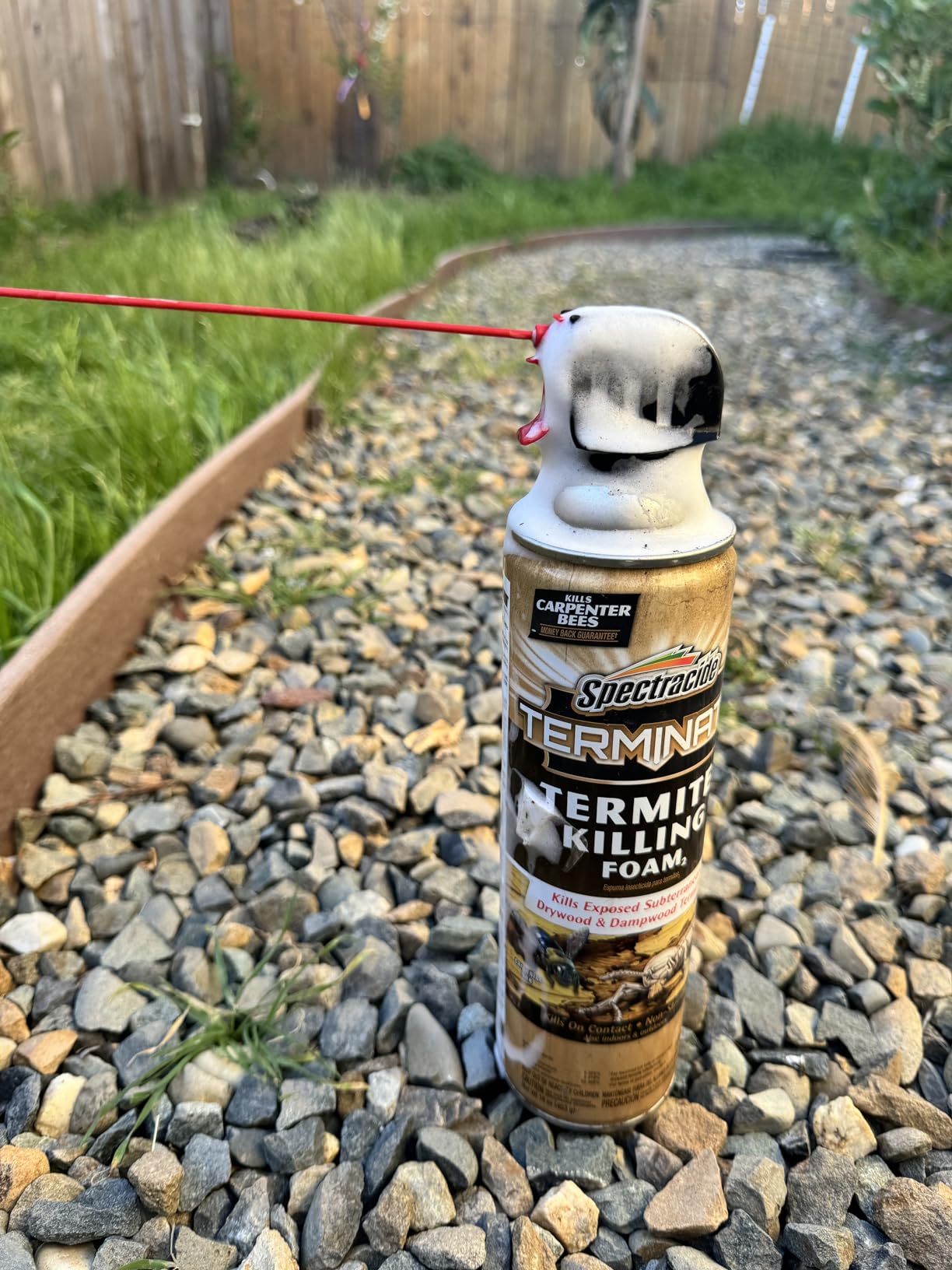 Spectracide Terminate Termite Killing Foam, Kills Exposed Subterranean, Drywood and Dampwood Termites On Contact, for Insects, 16 fl Ounce - Customer Photo 1