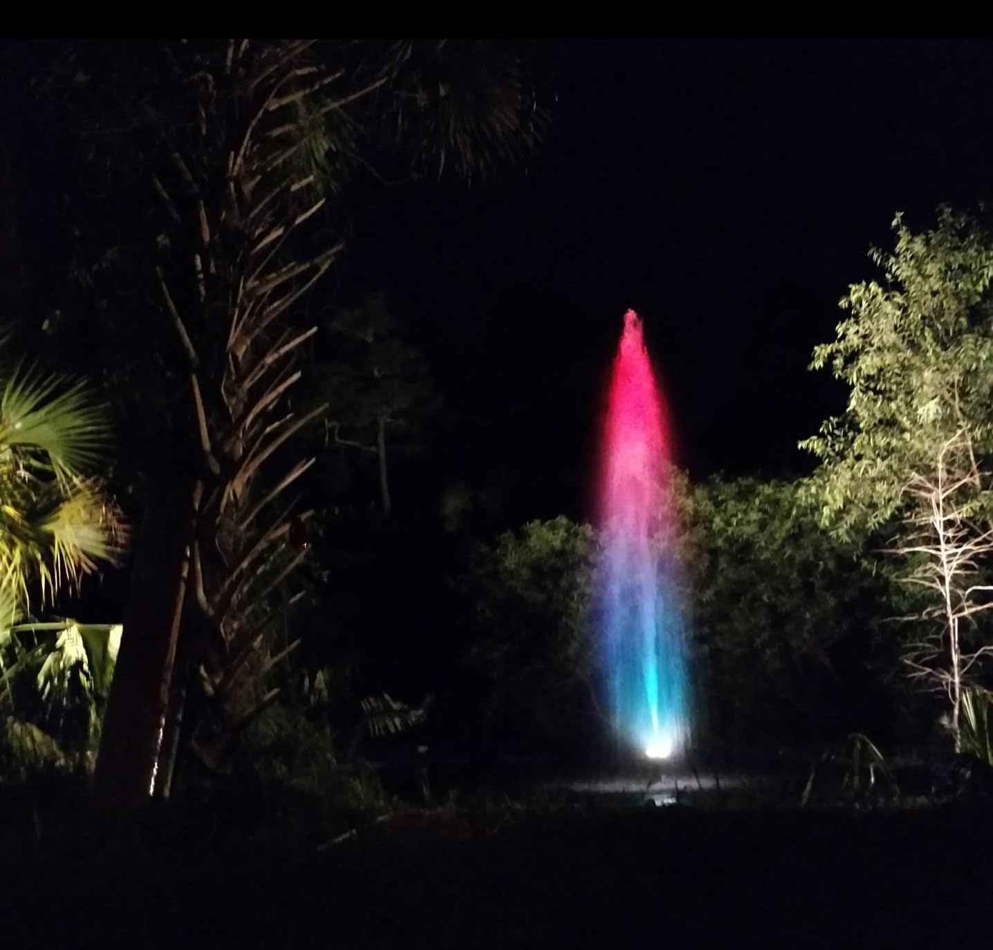 Alpine Corporation PAL5200 | 5200 GPH Submersible Water Pump with 33-ft Cord — Quiet 426W Motor, 25-ft Lift — Multi-Angle Flow for Ponds, Waterfalls & Fountains — Durable & Efficient (Blue) customer photo 1