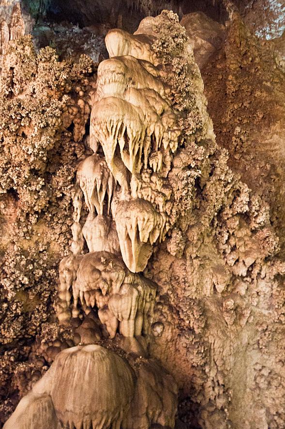 Nikon AF-S DX NIKKOR 10-24mm f/3.5-4.5G ED Zoom Lens Customer Review Nikon AF-S DX NIKKOR 10-24mm f/3.5-4.5G ED Zoom Lens - Customer Photo 1