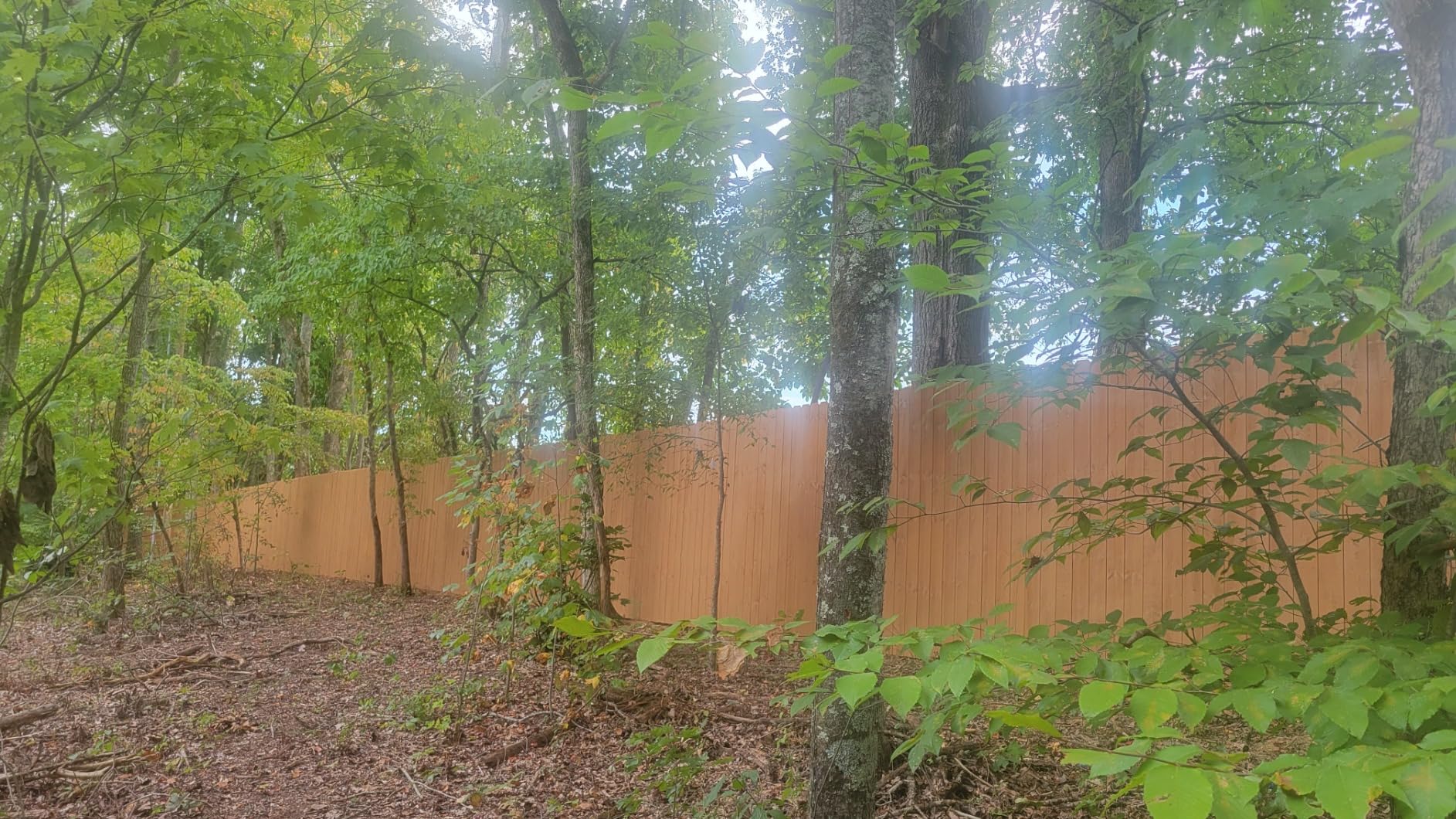 Graco Magnum 262800 X5 Stand Airless Paint Sprayer, Blue - Customer Photo 1