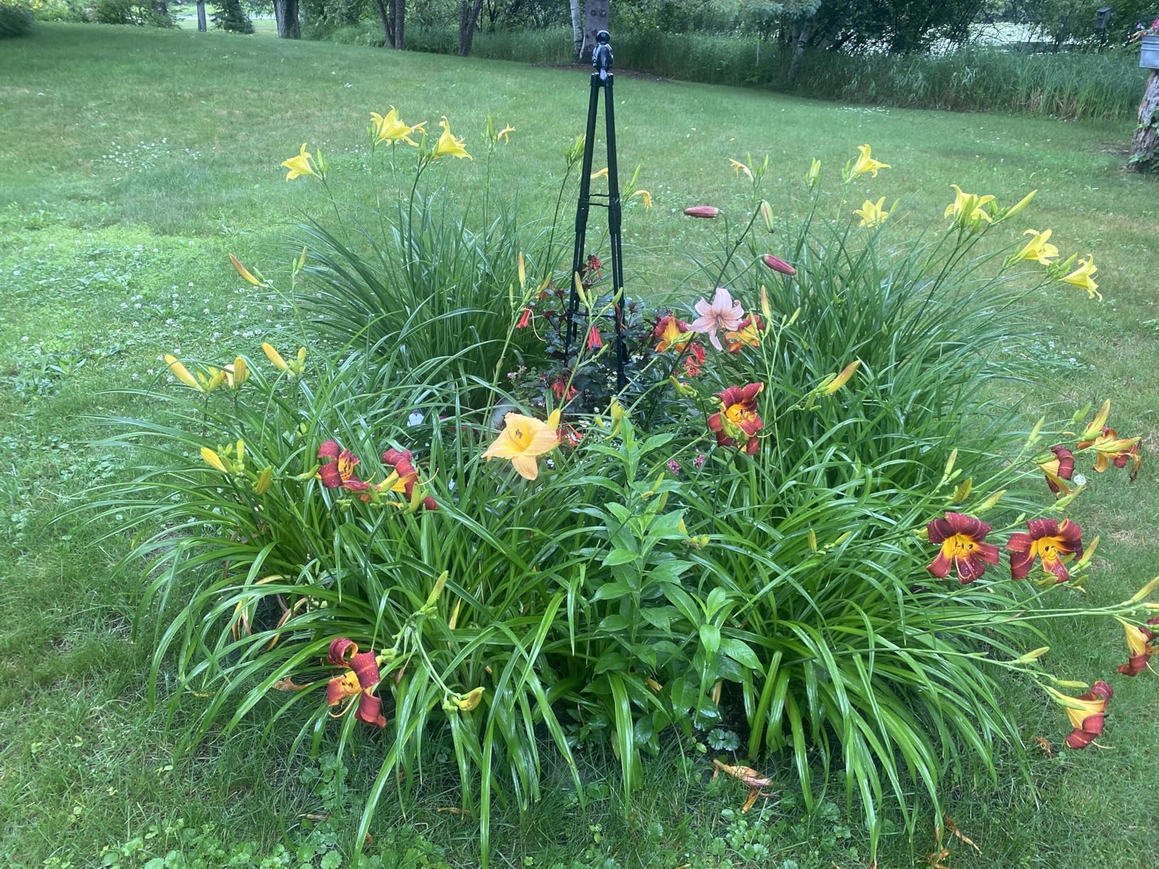 Deer Out 32oz Concentrate Deer Repellent - Customer Photo 2