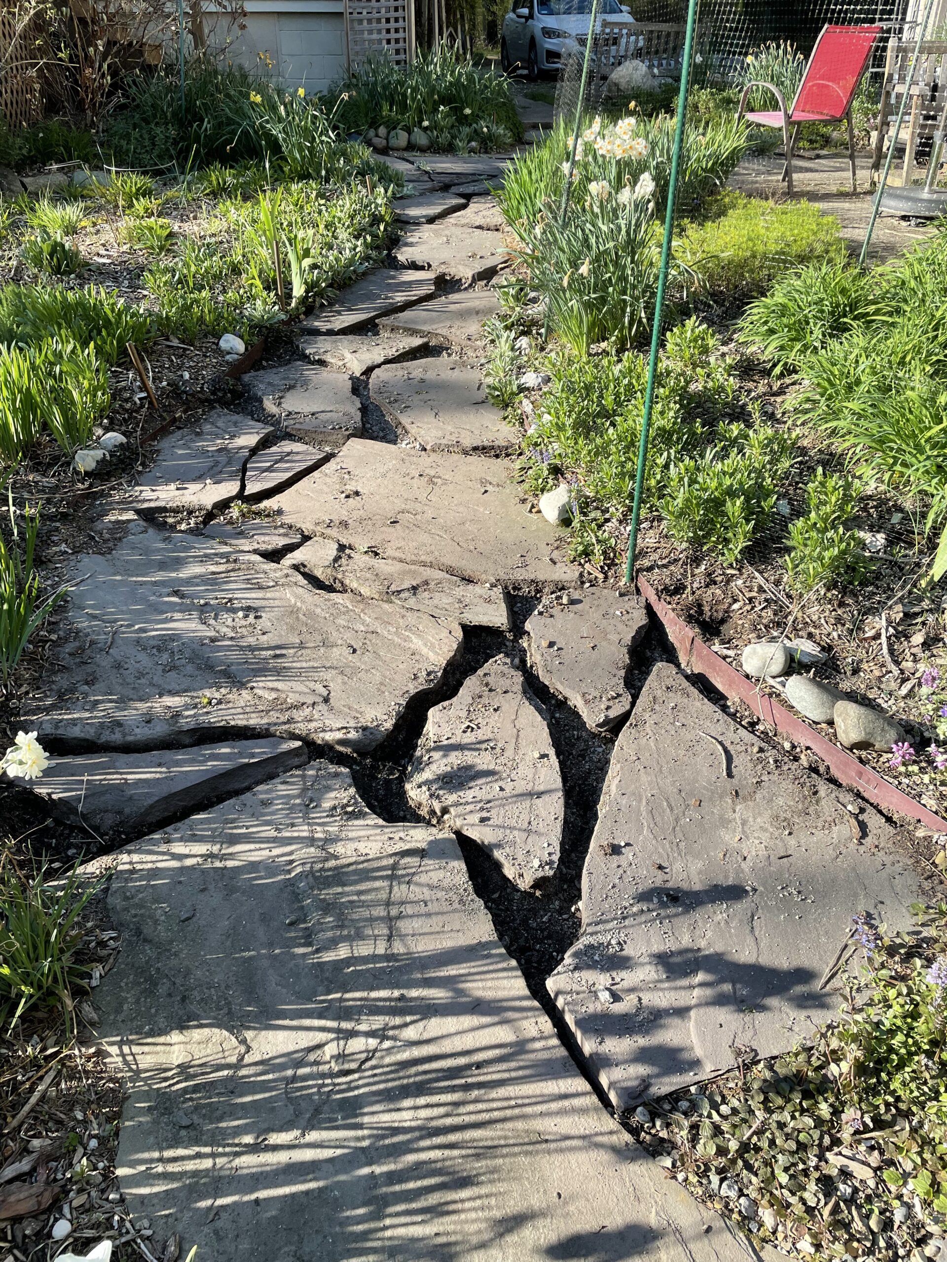 Wilcox All-Pro Garden Tools 202S 14