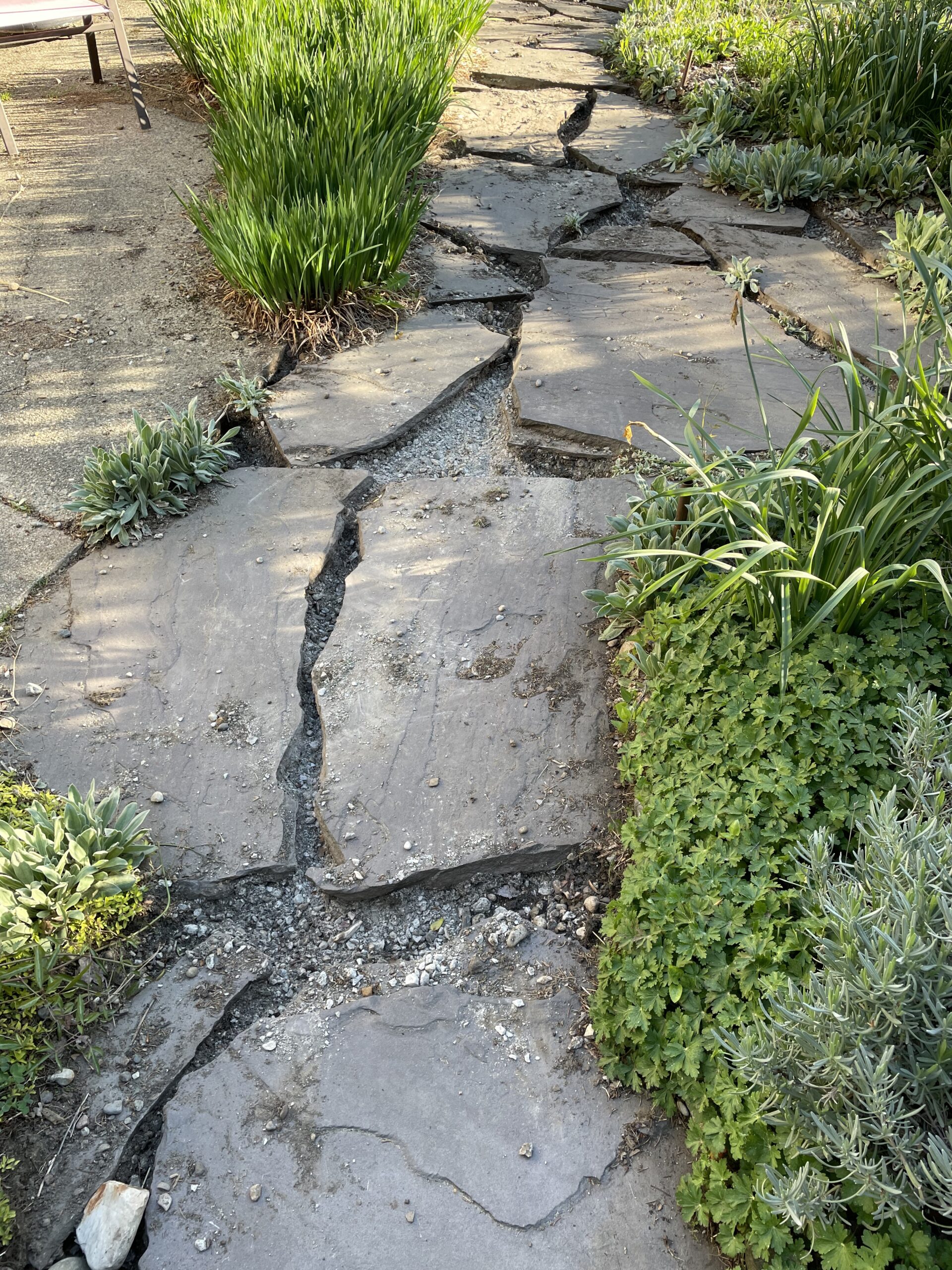 Wilcox All-Pro Garden Tools 202S 14