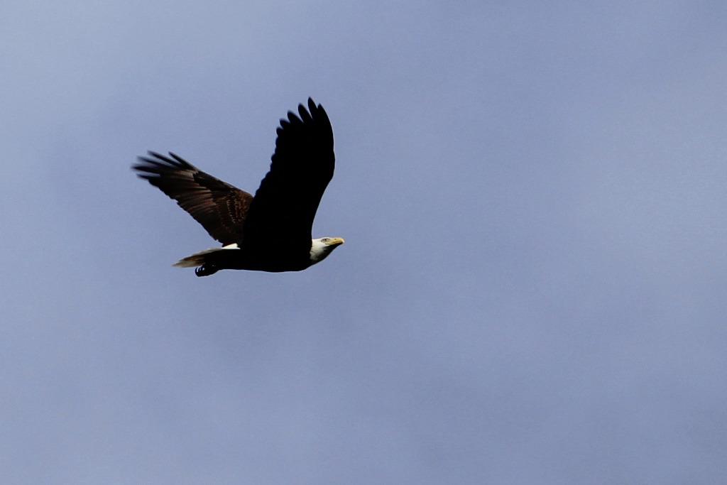 Hoya Circular Polarizer Filter (HRT CIR-PL UV) – 77mm Polarizing Filter with UV Absorbing Glass, High-Rate Transparency Film for Camera Lens – Multi-Coated Aluminum Frame & Water Resistant - Customer Photo 2