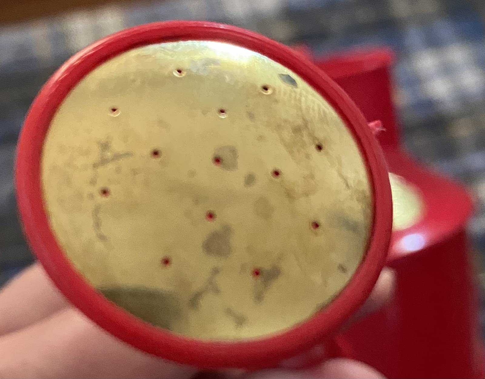 Bosmere Haws Handy Plastic Watering Can, Mini Water Can for Indoor Plants, Succulents and Flowers, Sage Green, 1 Pint - Customer Photo 1