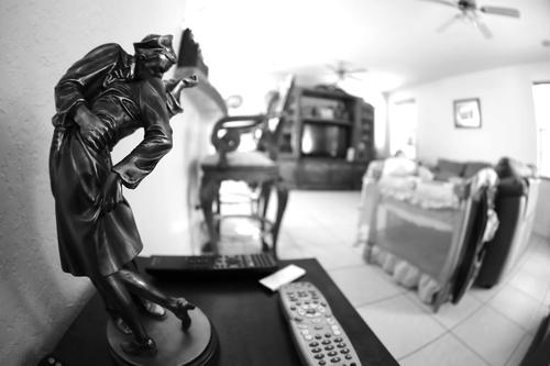 Canon EF 8-15mm f/4L Fisheye USM Ultra-Wide Zoom Lens for Canon EOS SLR Cameras - Customer Photo 1