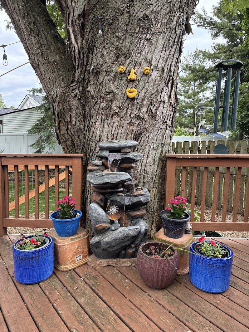 Alpine Corporation 40