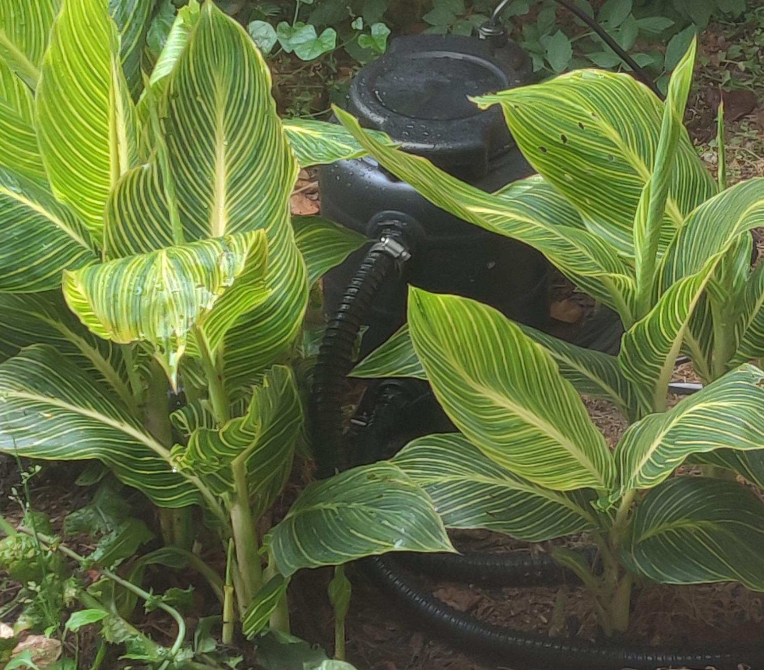 TotalPond Complete Pond Filter with UV Clarifier Black 15.16 x 9.06 x 13.11 in. Customer Review TotalPond Complete Pond Filter with UV Clarifier Black 15.16 x 9.06 x 13.11 in. - Customer Photo 2