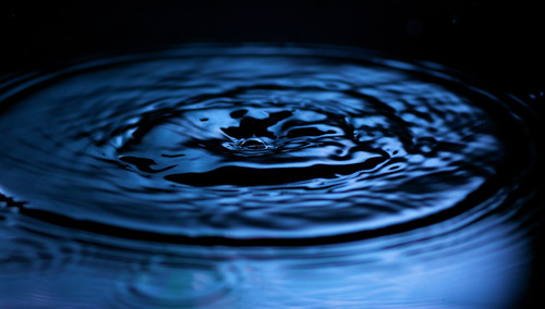 Neewer TT560 Flash Speedlite for Canon Sony Nikon Panasonic Olympus Pentax and Other DSLR Cameras, Digital Camera Speedlight with Standard Hot Shoe Customer Review Neewer TT560 Flash Speedlite for Canon Sony Nikon Panasonic Olympus Pentax and Other DSLR Cameras, Digital Camera Speedlight with Standard Hot Shoe - Customer Photo 1