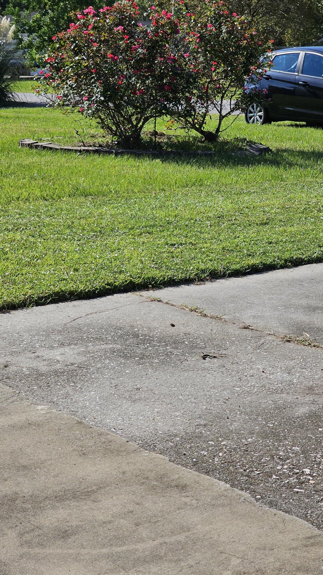 Great States 204-14 Hand Reel 14 Inch Push Lawn Mower - Customer Photo 1