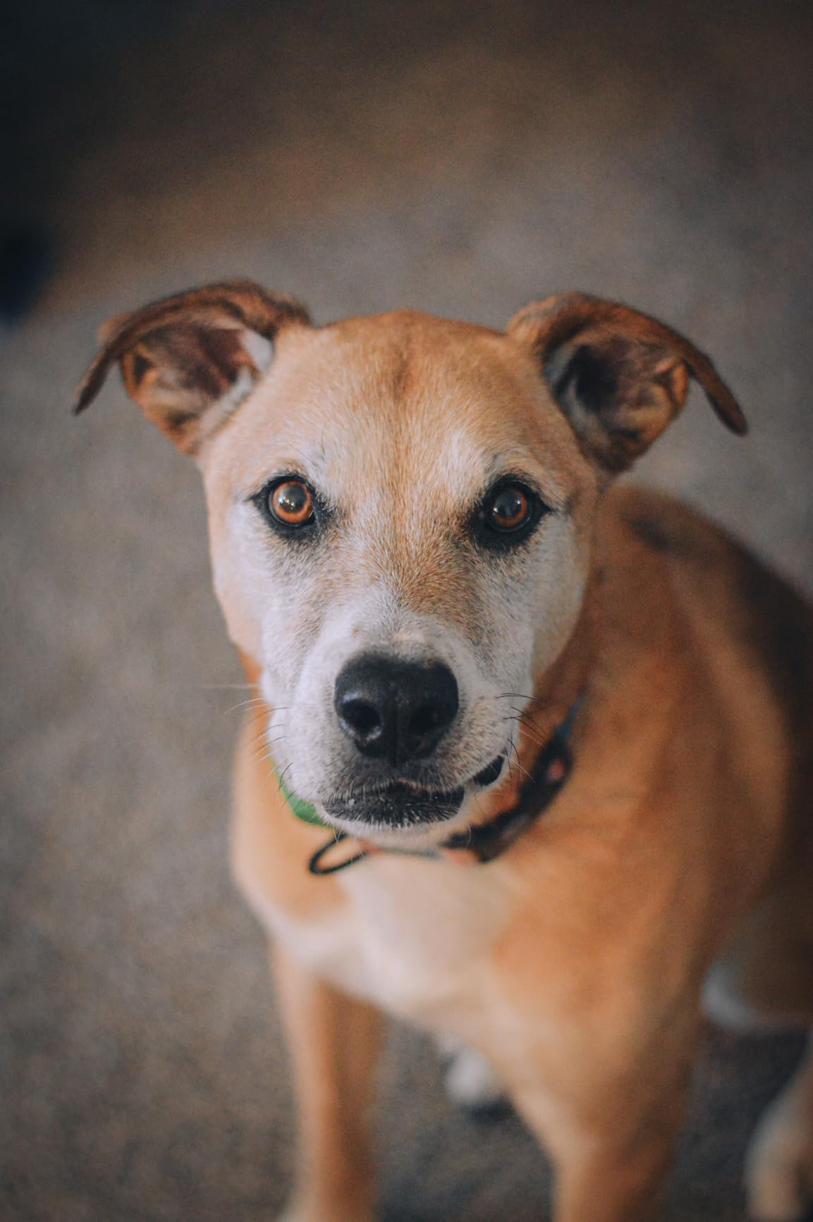 Nikon AF-S FX NIKKOR 50mm f/1.8G Lens - Customer Photo 5