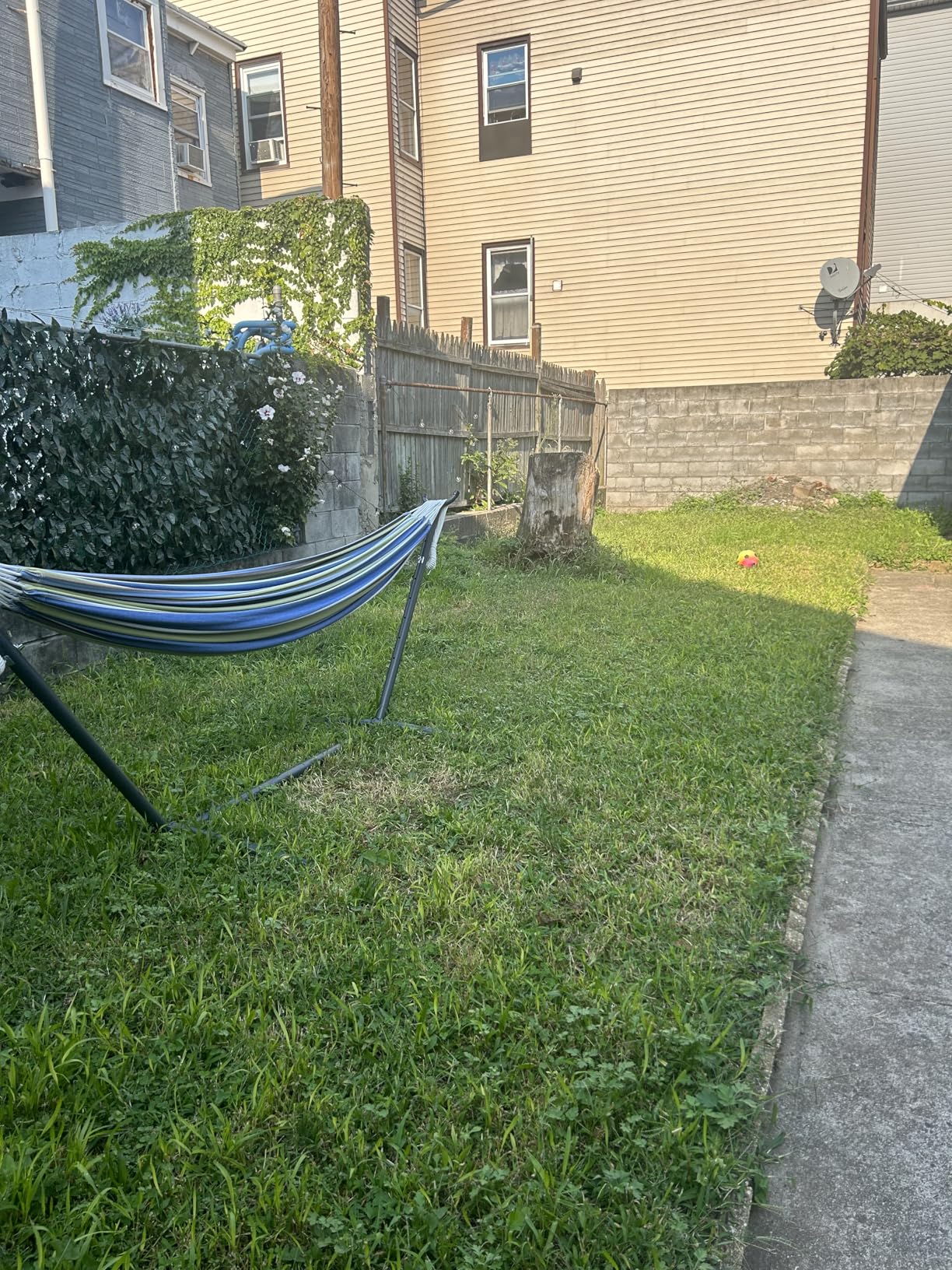 Vivere Double Cotton Hammock with Space Saving Steel Stand, Upgraded Polyester End Strings 450 lb Capacity - Premium Carry Bag Included - (Tropical) Customer Review Vivere Double Cotton Hammock with Space Saving Steel Stand, Upgraded Polyester End Strings 450 lb Capacity - Premium Carry Bag Included - (Tropical) - Customer Photo 2