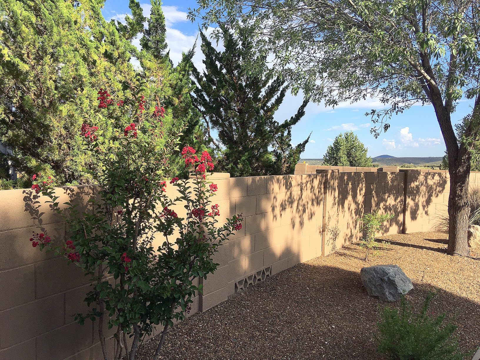 Graco Magnum 257025 Project Painter Plus Paint Sprayer, Multicolor Customer Review Graco Magnum 257025 Project Painter Plus Paint Sprayer, Multicolor - Customer Photo 1