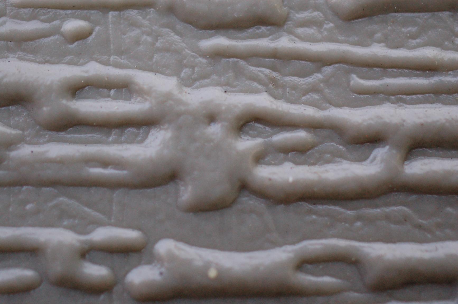 Nikon AF-S DX Micro-NIKKOR 40mm f/2.8G Close-up Lens for Nikon DSLR Cameras - Customer Photo 3