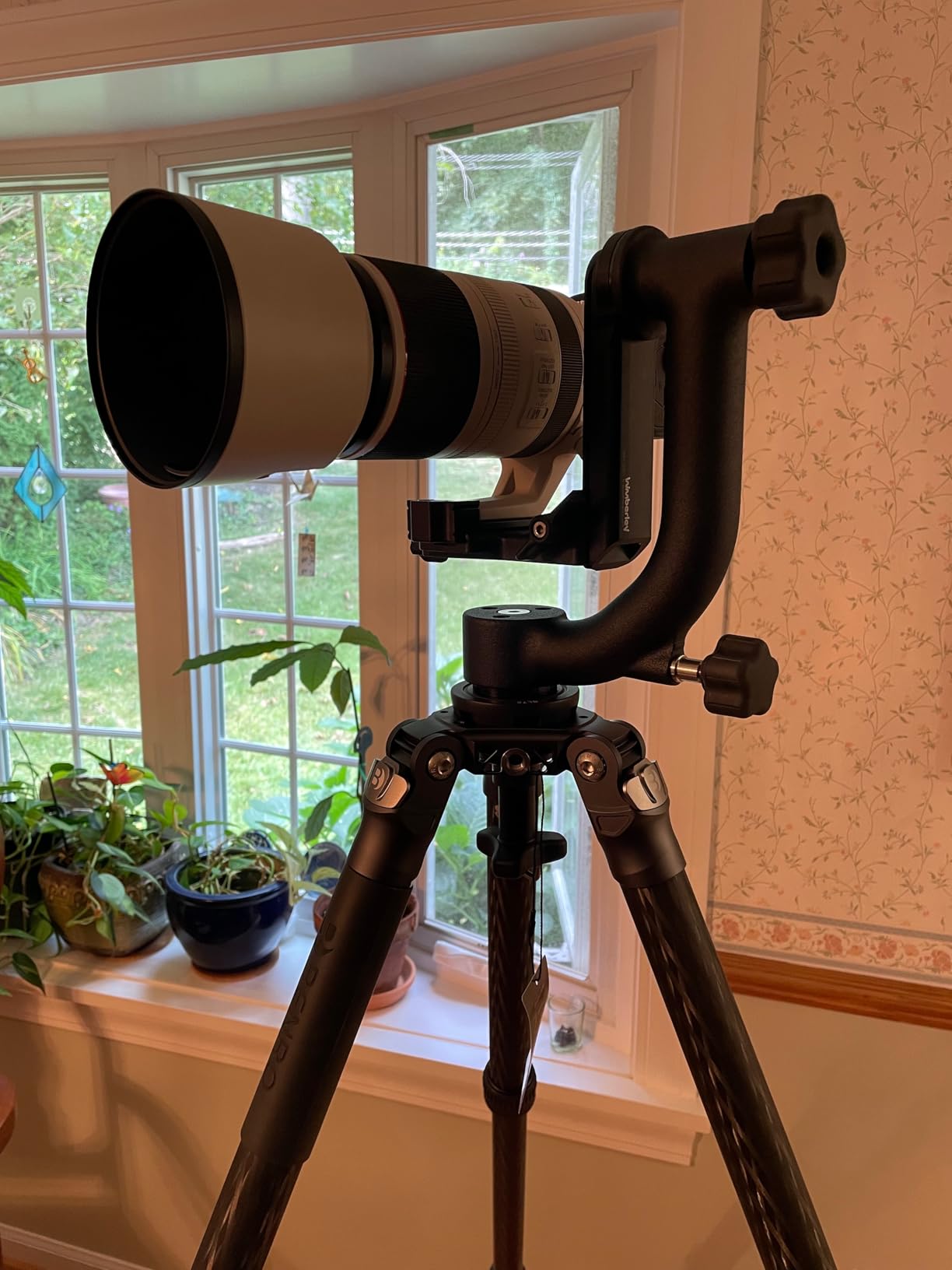 Wimberley WH-200 Wimberley Gimbal Head II - Made in USA - Customer Photo 2