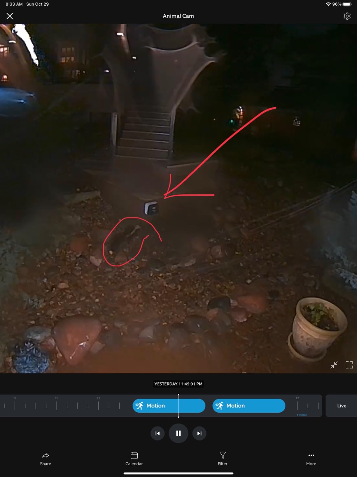 ASPECTEK Yard Sentinel Outdoor Ultrasonic Animal Repeller with Motion Sensor, Adjustable Volume, Waterproof, Extension Cord, Powerful Repel for Squirrel, Raccoon, Skunk, Rabbit, Fox, Deer, Etc customer photo 2