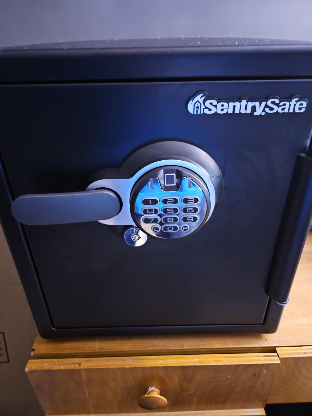 SentrySafe Waterproof and Fireproof Alloy Steel Digital Safe Box for Home with Code Button Keypad, 1.23 Cubic Feet, 17.8 x 16.3 x 19.3 Inches (exterior), SFW123GDC - Customer Photo 1