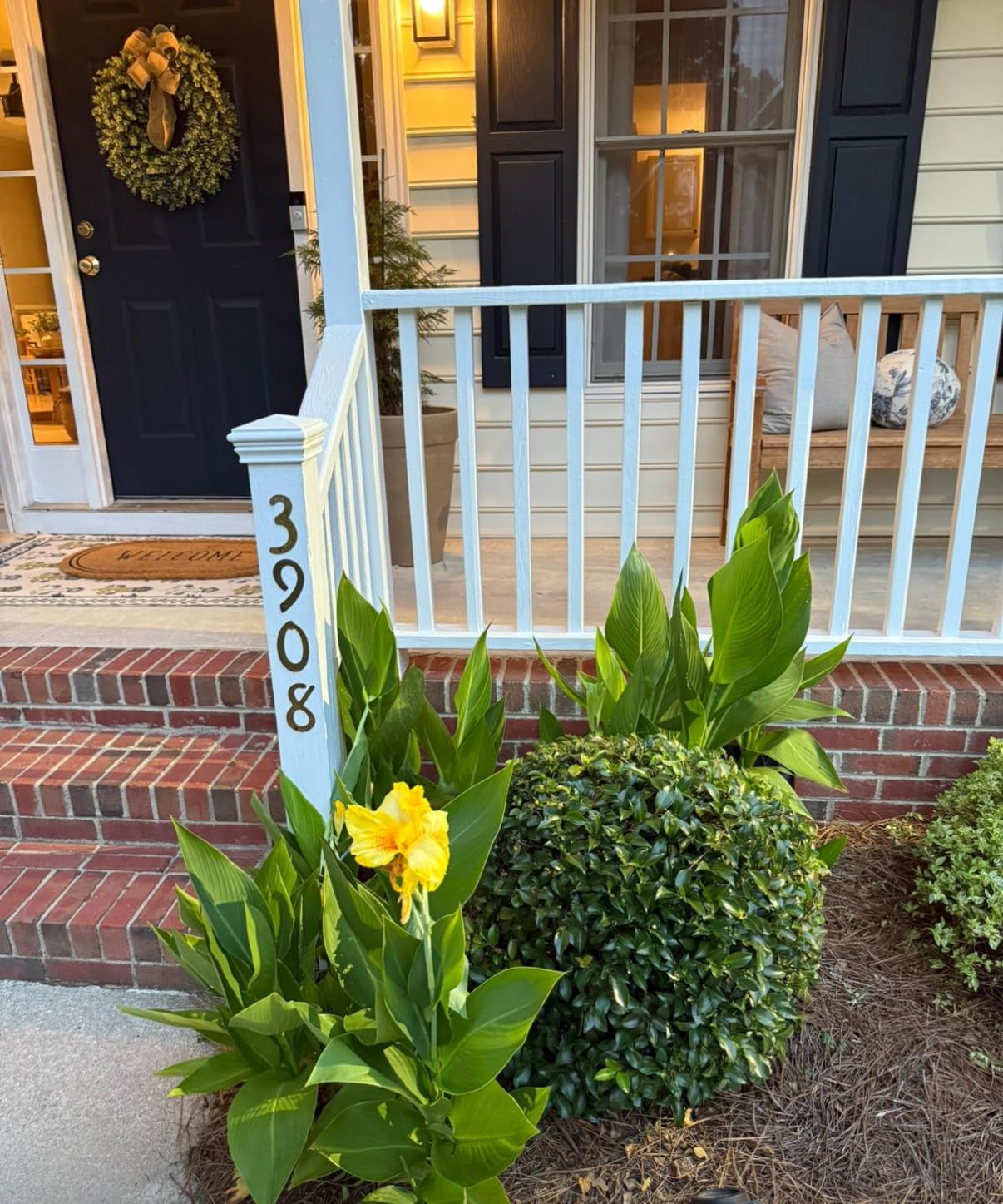 BLACK+DECKER 20V MAX Cordless Hedge Trimmer, Battery and Charger Included, 22 Inch Steel Blade Lightweight Bush Trimmer, Soft Grip, Less Vibration (LHT2220) customer photo 1