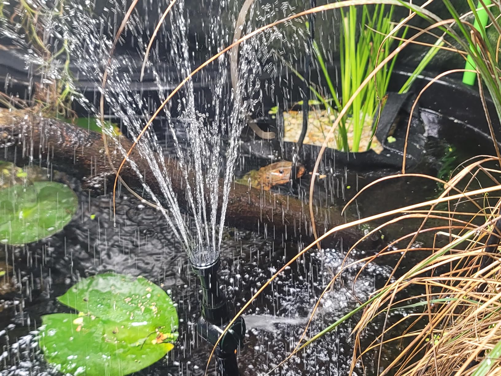 pond boss Medium Filter Kit with Pump for Ponds and Water Features Customer Review pond boss Medium Filter Kit with Pump for Ponds and Water Features - Customer Photo 2