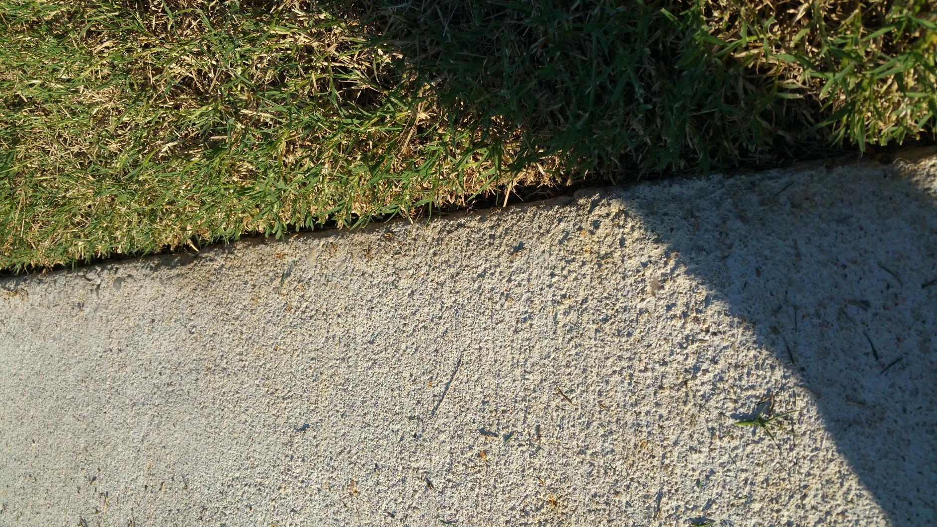 Truper 35195 Rotary Lawn Edger with Dual Wheel - Fiberglass Handle with Non Slip Grip, 48 Inch - Customer Photo 1