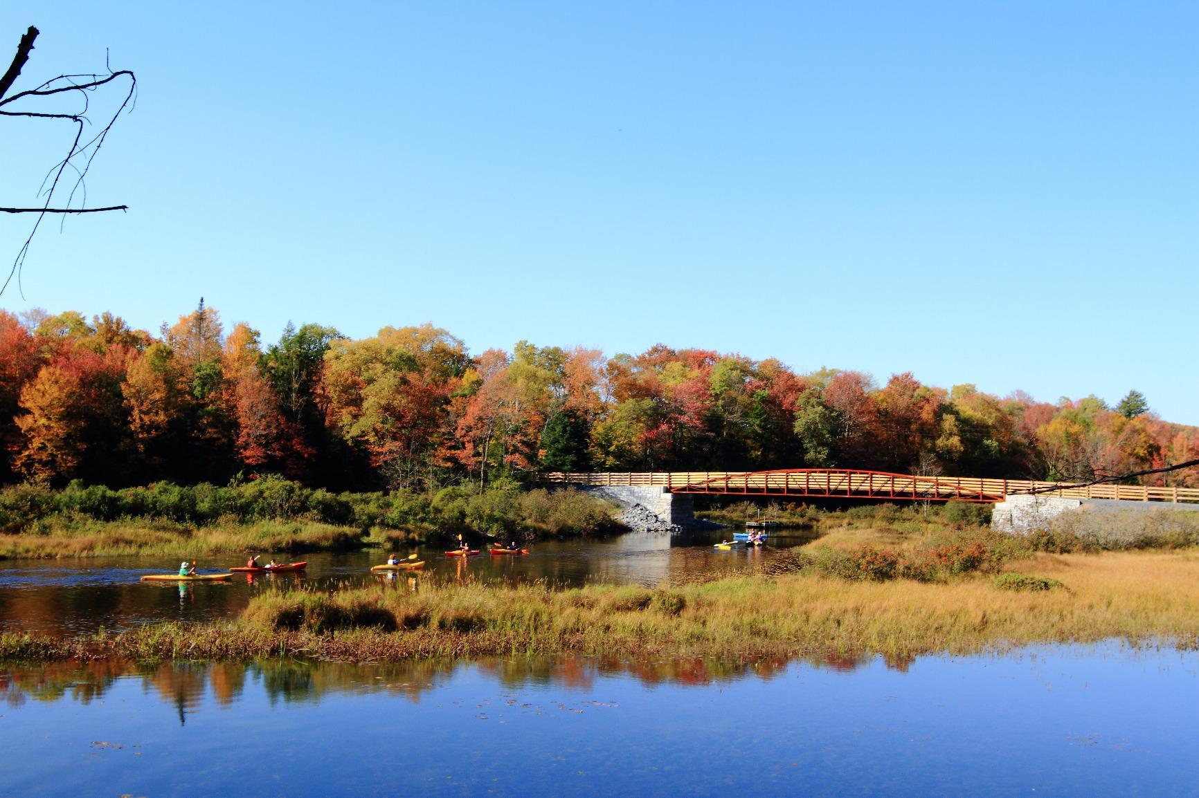 Canon EF 24-70mm f/2.8L II USM Standard Zoom Lens - Customer Photo 2