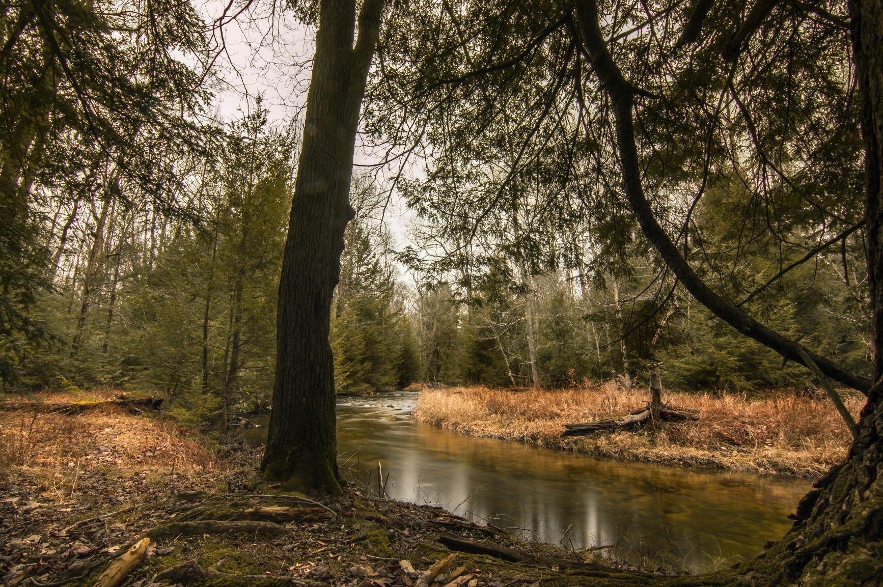 Tokina 11-16mm f/2.8 AT-X116 Pro DX II Digital Zoom Lens (AF-S Motor) (for Nikon) - Customer Photo 1