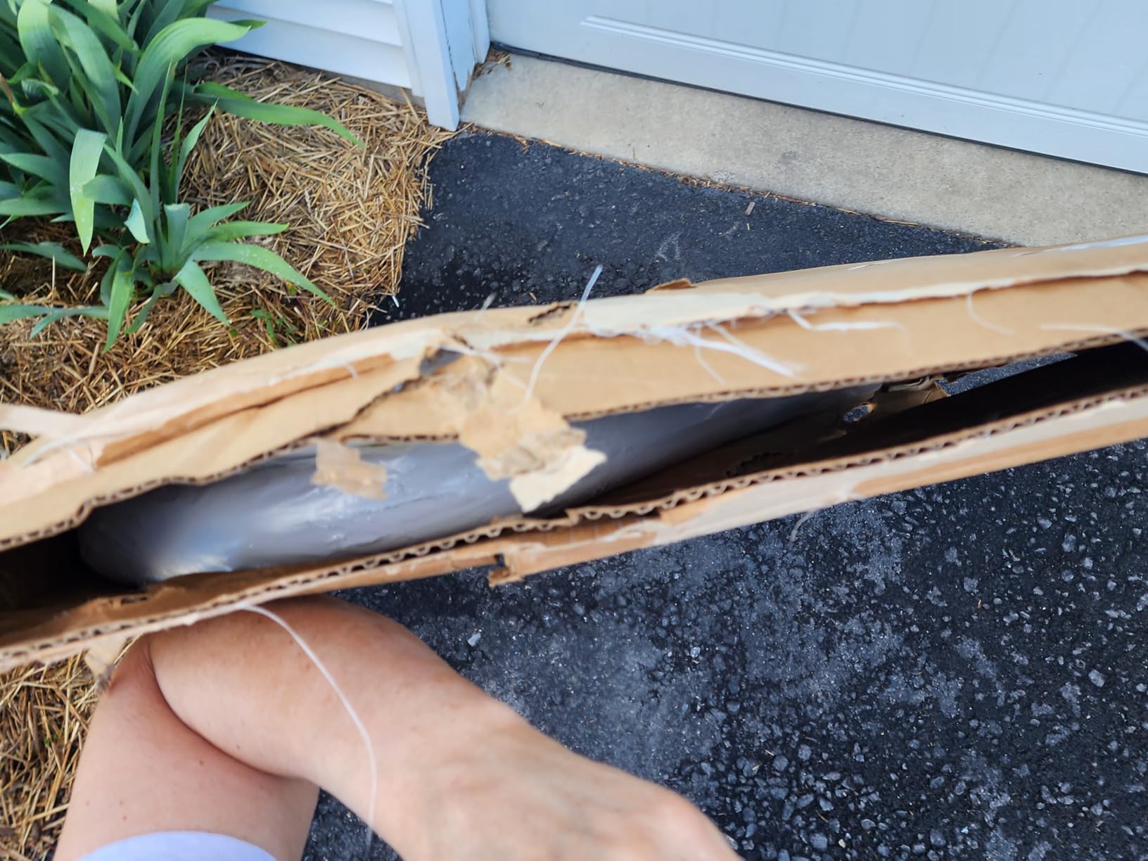 Rust Proof Saftron P-324-L3 Residential Inground White Three-Step Swimming Pool Ladder. 53 Rust Proof Saftron P-324-L3 Residential Inground White Three-Step Swimming Pool Ladder. 53