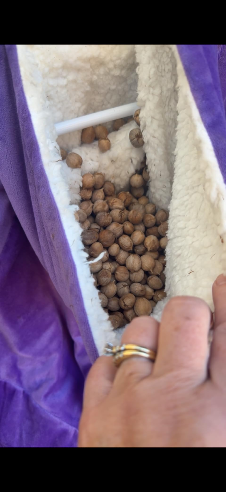 Bell+Howell Upgraded 2025 Ultrasonic Pest Repeller Indoor 4 Pk, Mice Repellent Indoor Home Kit, DIY Pest Control at Home, Plug in Spider Repellent, Rodent Repellent, Bug, Insect, Family & Pet Safe Customer Review Bell+Howell Upgraded 2025 Ultrasonic Pest Repeller Indoor 4 Pk, Mice Repellent Indoor Home Kit, DIY Pest Control at Home, Plug in Spider Repellent, Rodent Repellent, Bug, Insect, Family & Pet Safe - Customer Photo 2