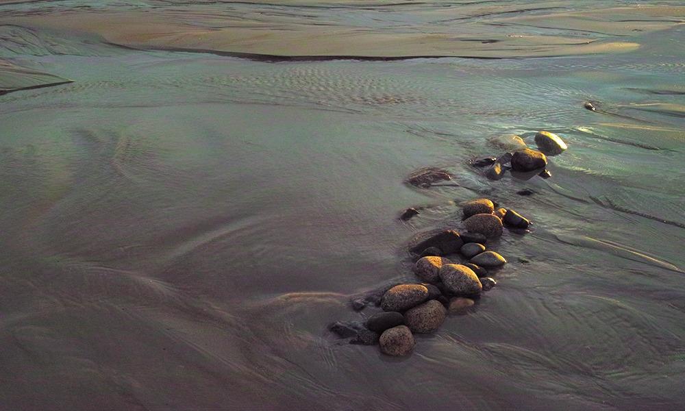 Sigma DP2 Merrill Compact Digital Camera - Customer Photo 3