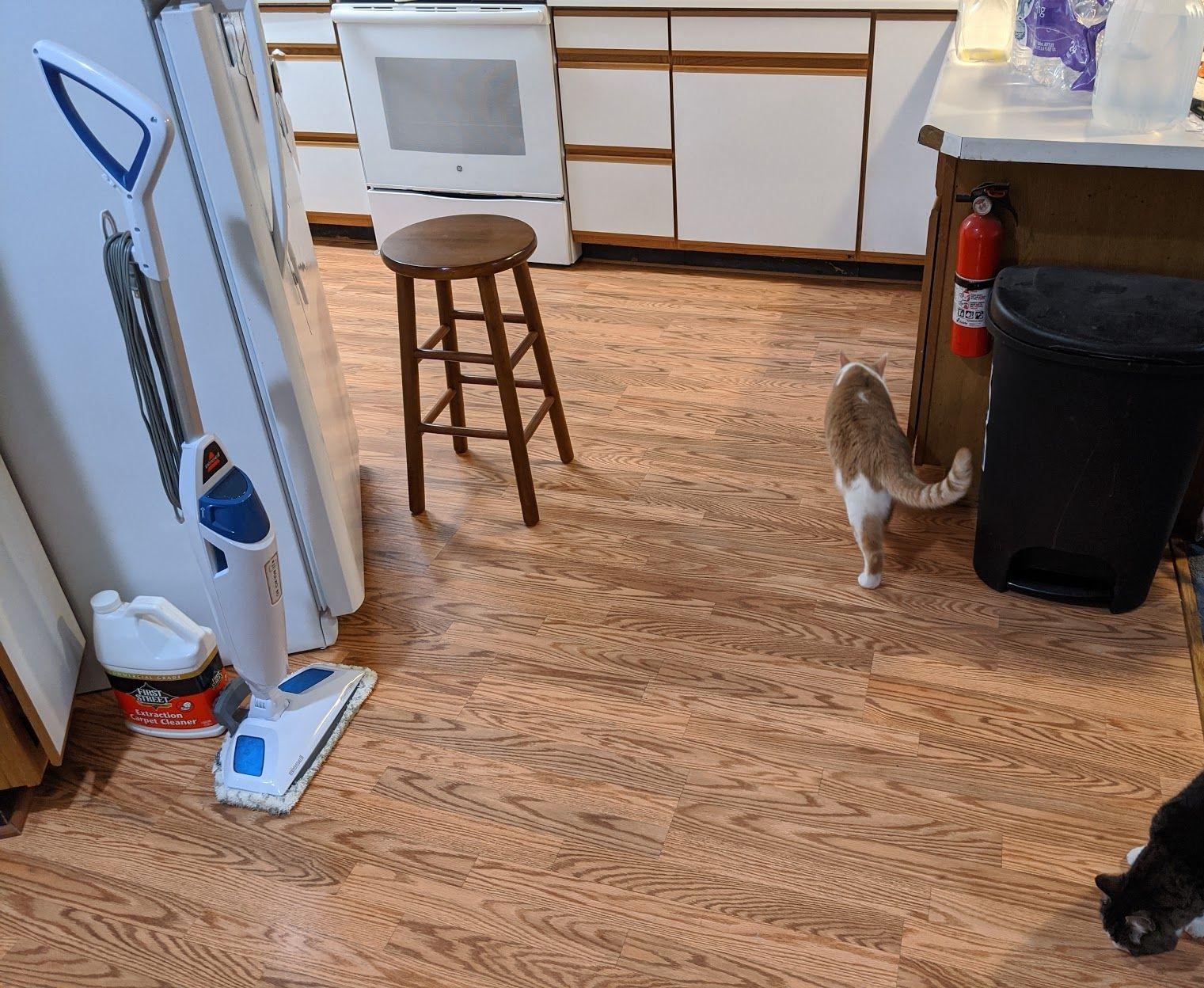 Bissell Power Fresh Steam Mop with Natural Sanitization, Floor Steamer, Tile Cleaner, and Hard Wood Floor Cleaner with Flip-Down Easy Scrubber, 1940A - Customer Photo 2