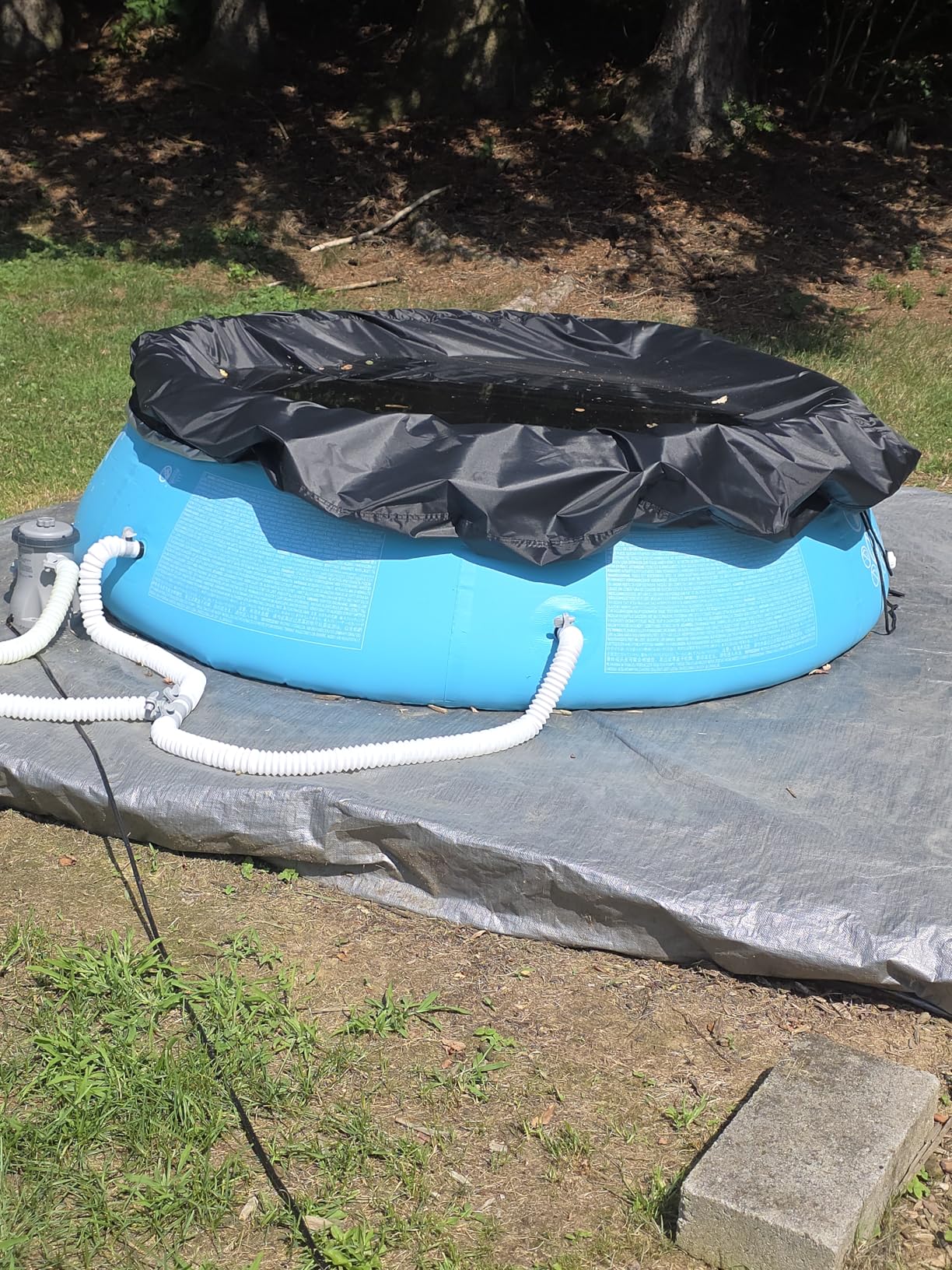 INTEX 28101EH Easy Set Inflatable Swimming Pool: 6ft x 20in – Puncture-Resistant Material – Quick Inflation – 232 Gallon Capacity – 16in Water Depth - Customer Photo 2