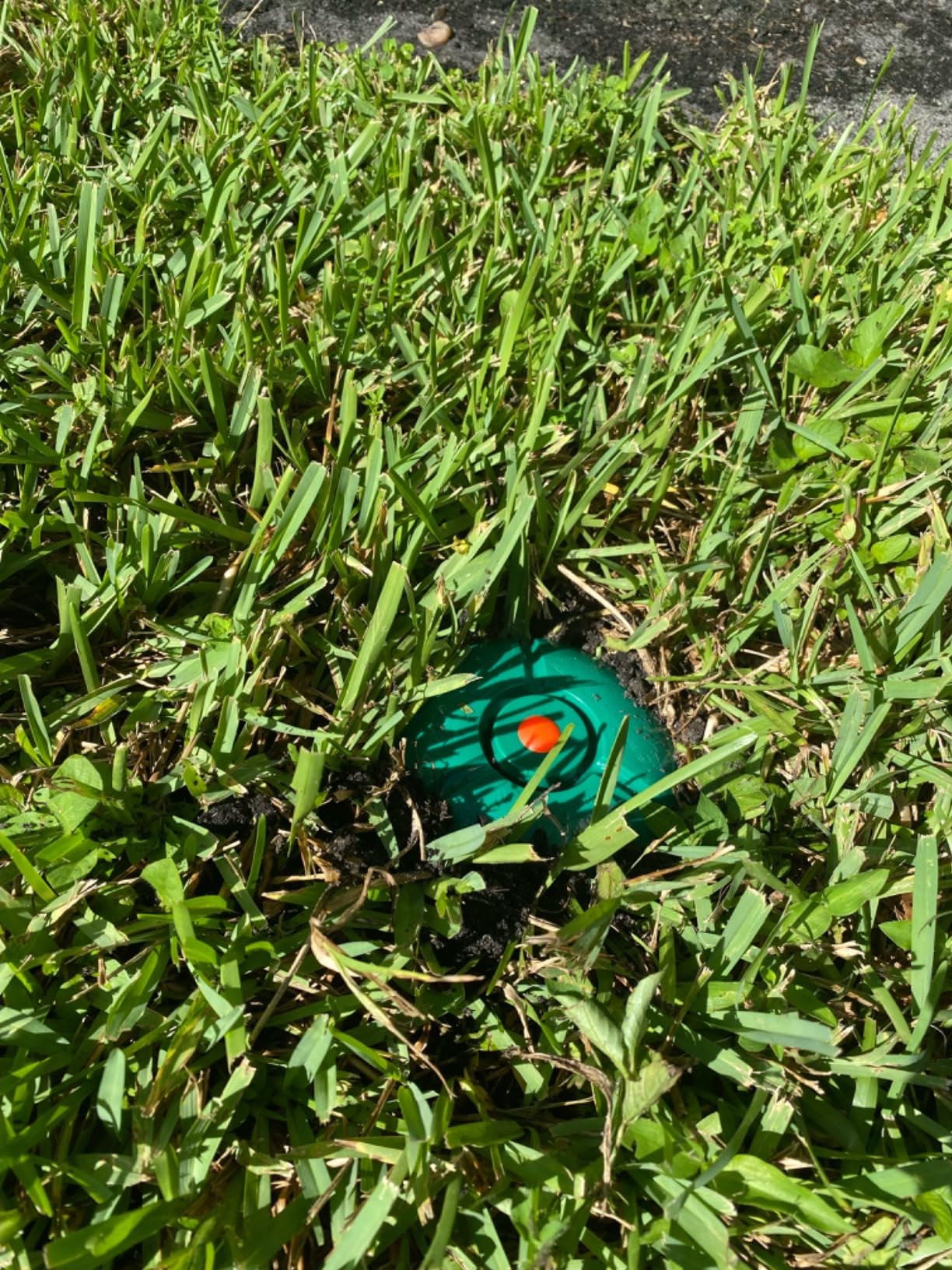 Spectracide Terminate Termite Detection & Killing Stakes, Kills Foraging Termites, Detects Termite Activity, 15 Count - Customer Photo 2