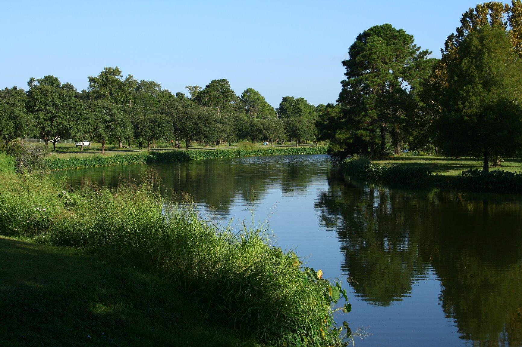 Canon EF-S 18-55mm f/3.5-5.6 is STM Camera Lens - Customer Photo 1