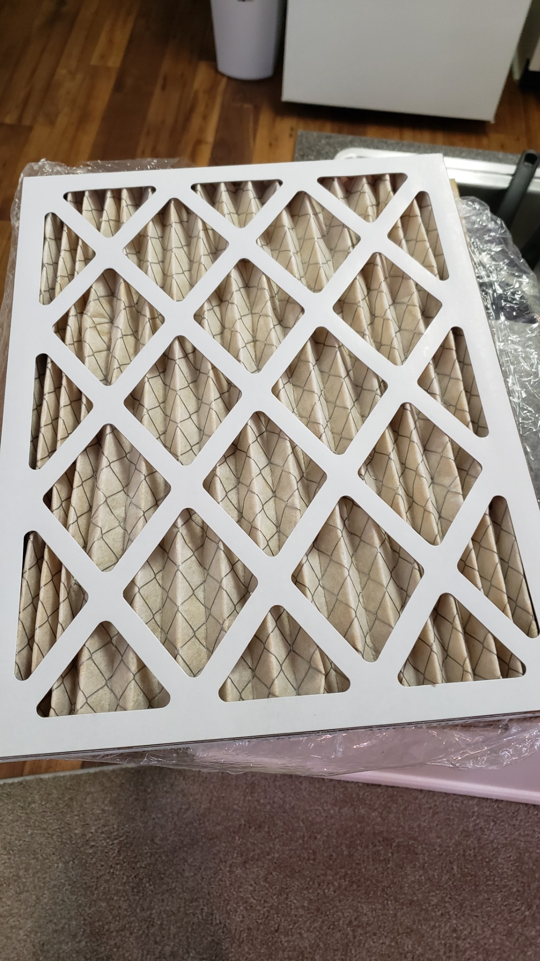 Filterbuy 20x25x4 Air Filter MERV 11 Superior Pet & Allergy Defense (2-Pack), Electrostatic Pleated HVAC AC Furnace Filters Replacement, Made in USA (Actual Size: 19.50 x 24.50 x 3.63) Customer Review Filterbuy 20x25x4 Air Filter MERV 11 Superior Pet & Allergy Defense (2-Pack), Electrostatic Pleated HVAC AC Furnace Filters Replacement, Made in USA (Actual Size: 19.50 x 24.50 x 3.63) - Customer Photo 2